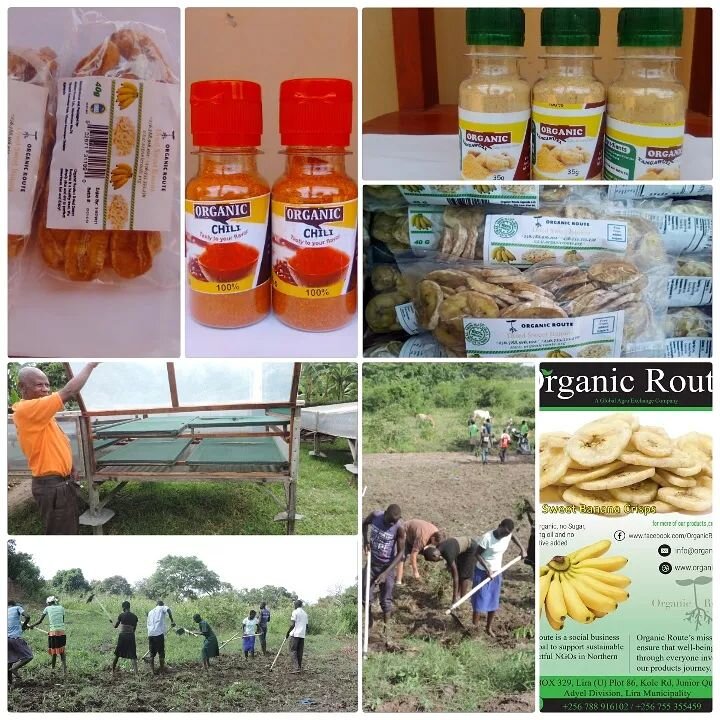 The beauty of our work is that everyone involved in our products journey benefits. Right from the farmer all the way to feeding thousands of families. Thank you for supporting Organic Route. #Changingalifeonepriductatatime