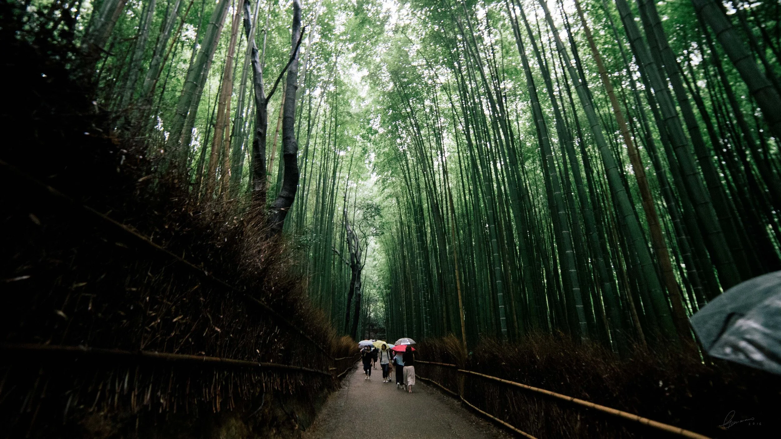japan (23).jpg