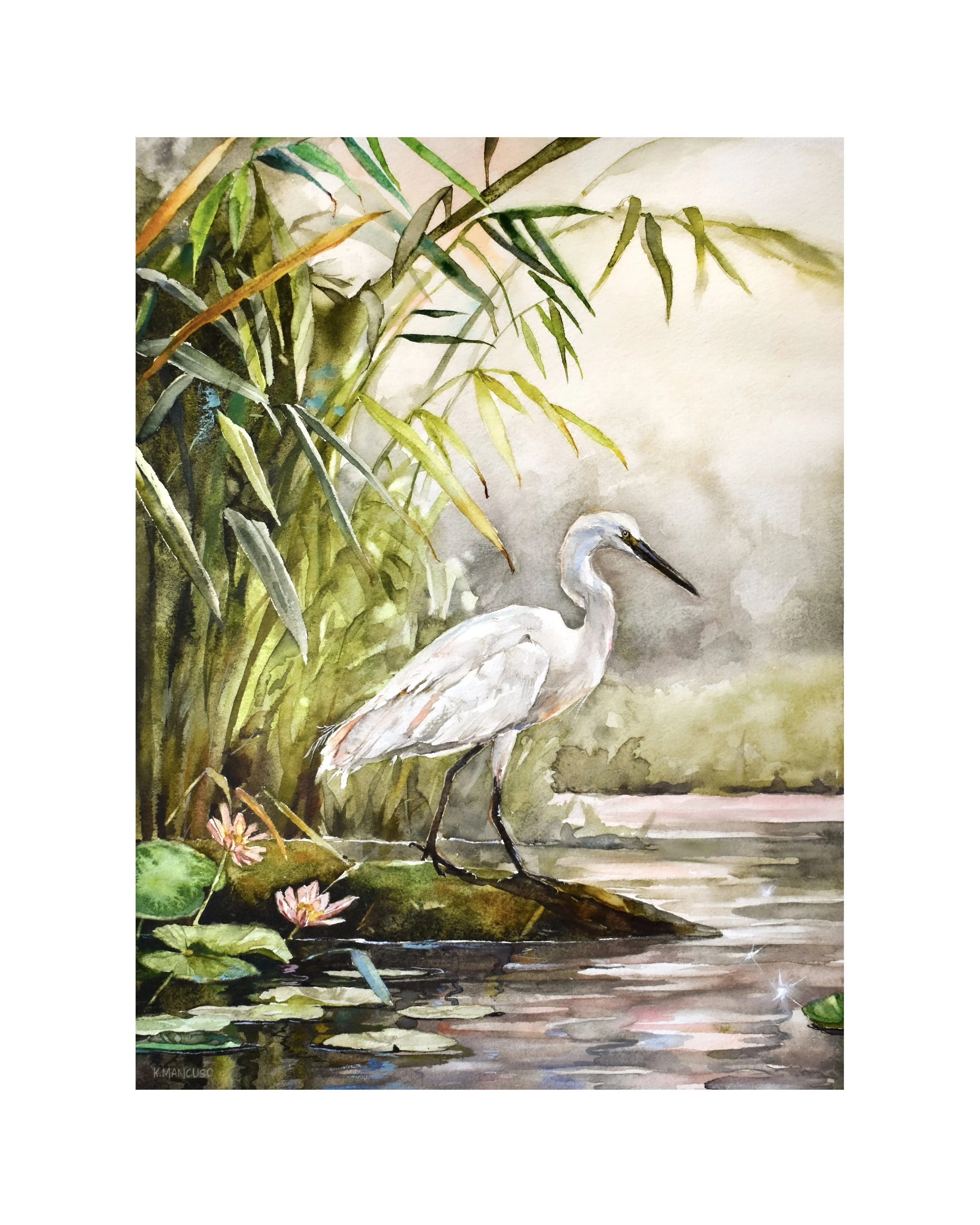 Right place profile.jpg