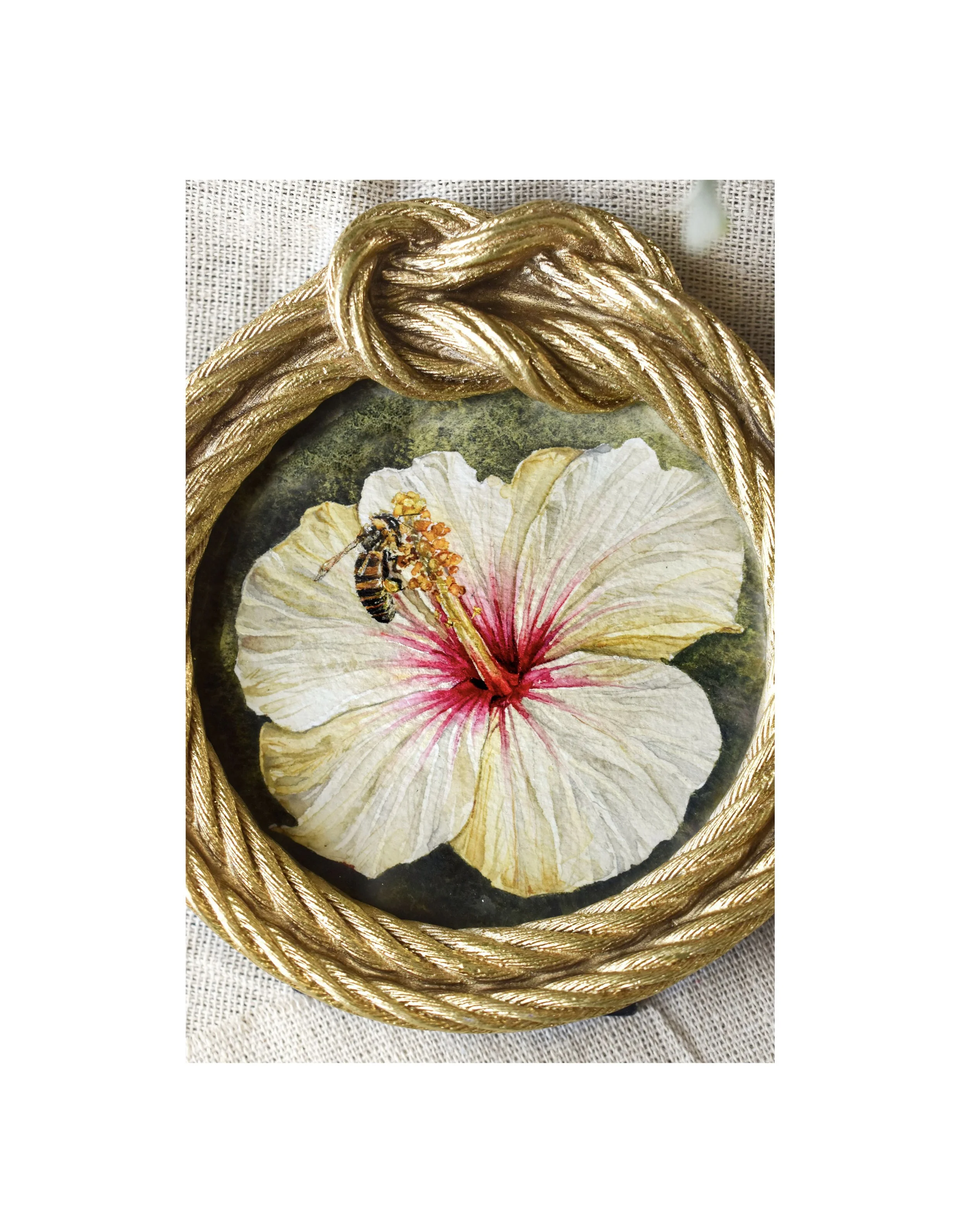 Hibiscus 3.jpg