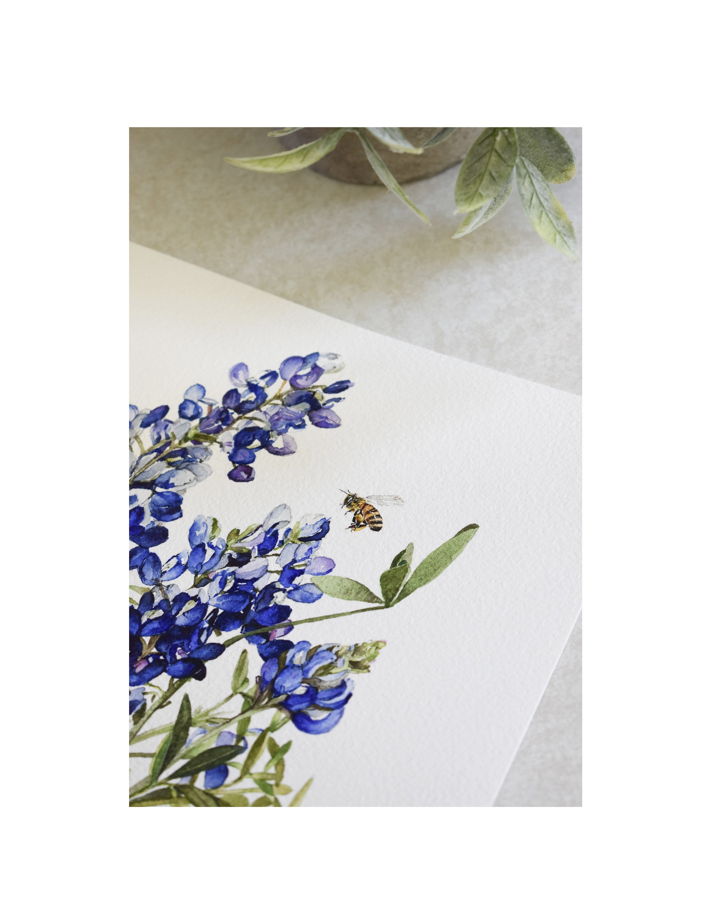 Jar of Bluebonnets 3.jpg