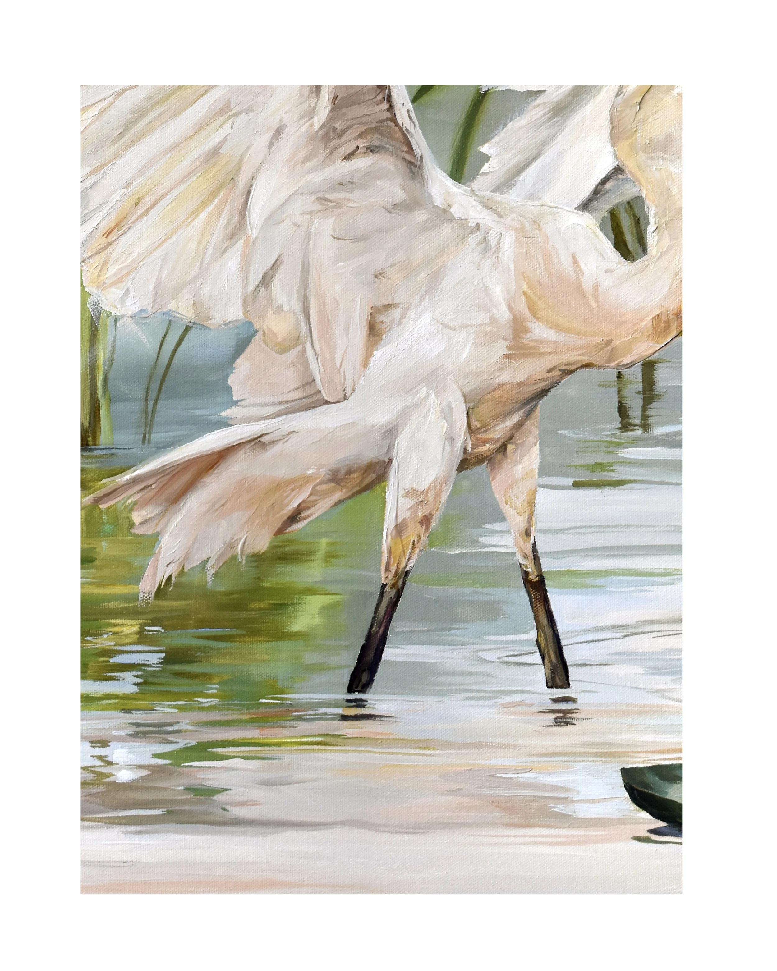 Light as a feather closeup 5.jpg