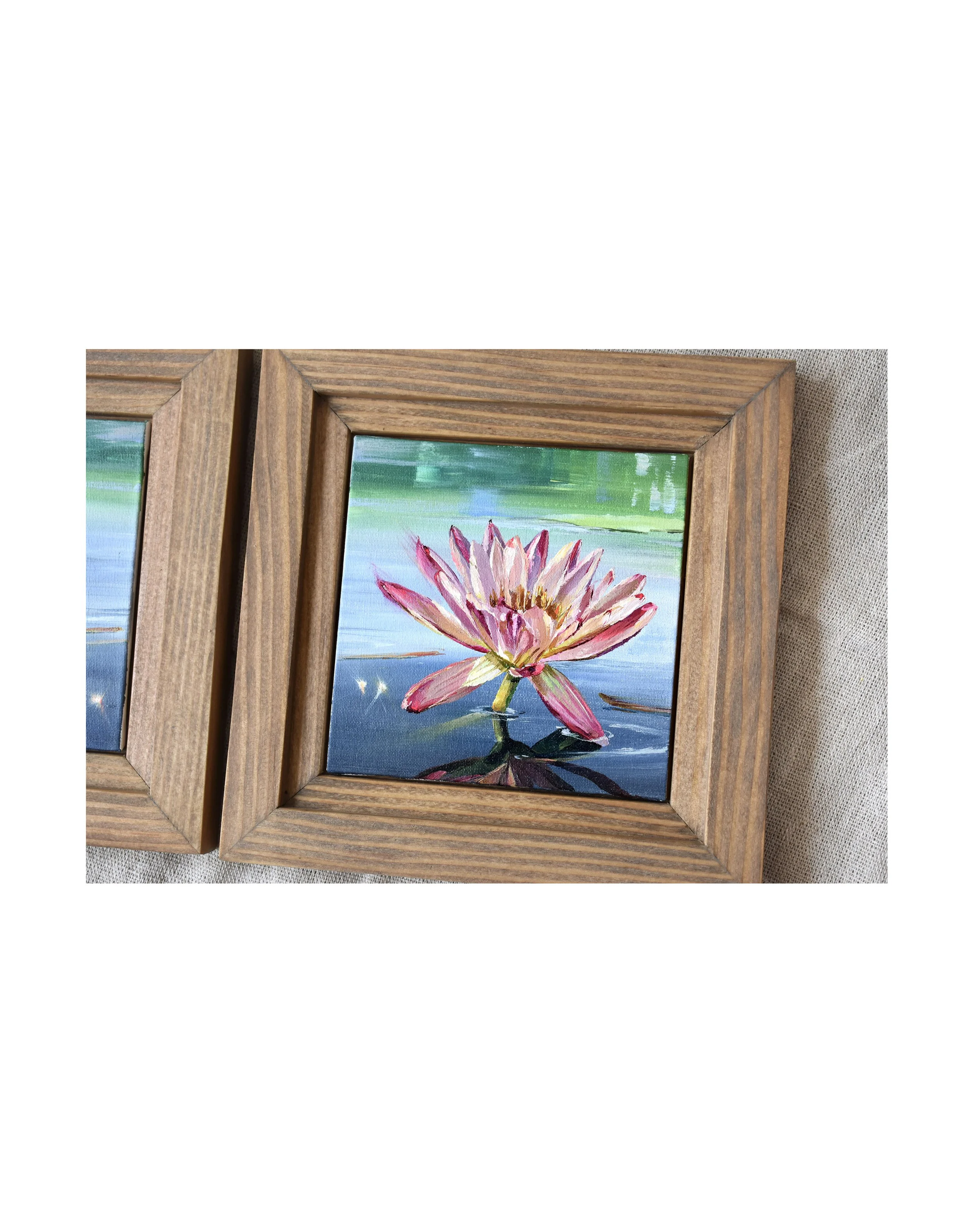 Lotus Study III Framed 4.jpg