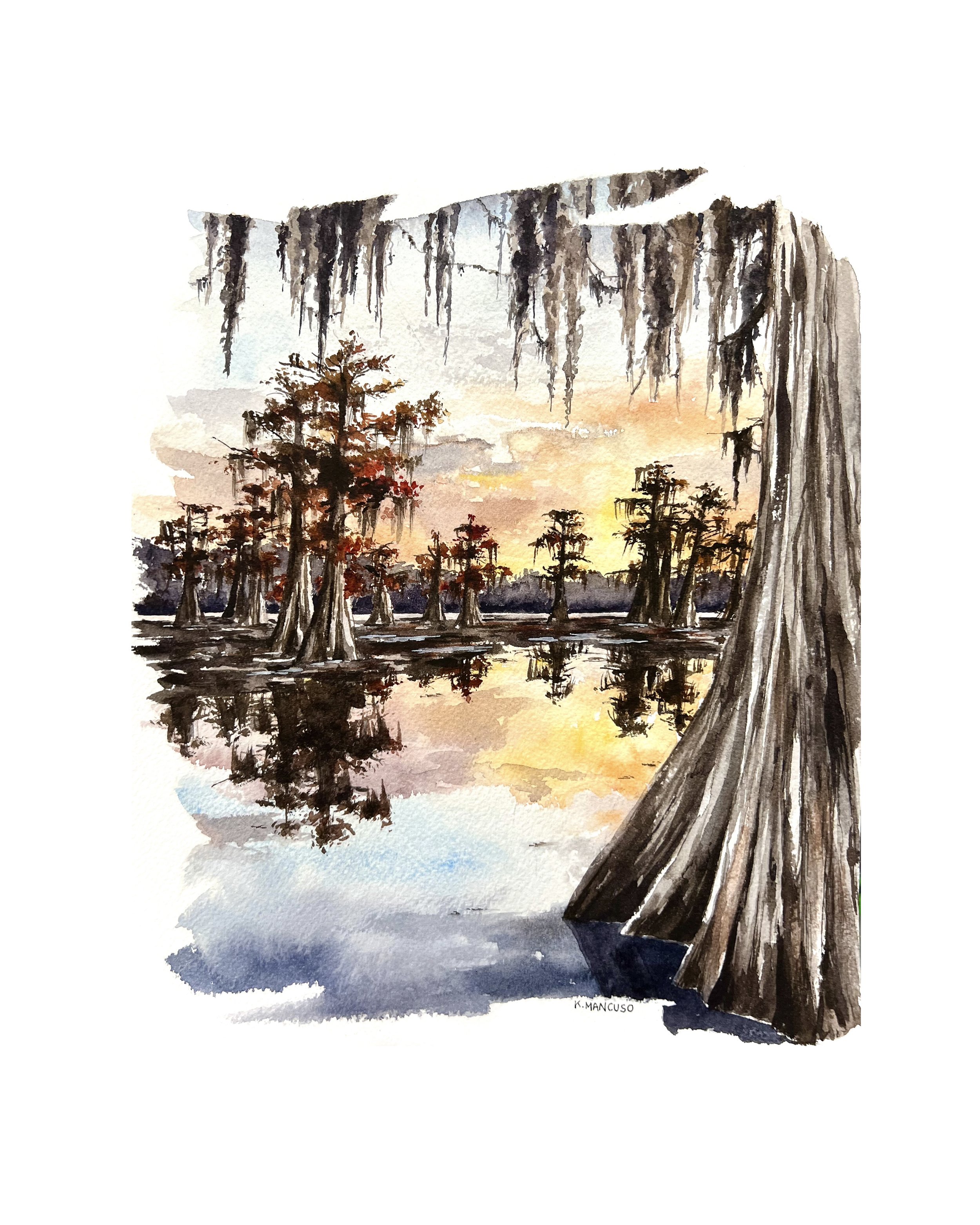 Serene swamp waters profile.jpg