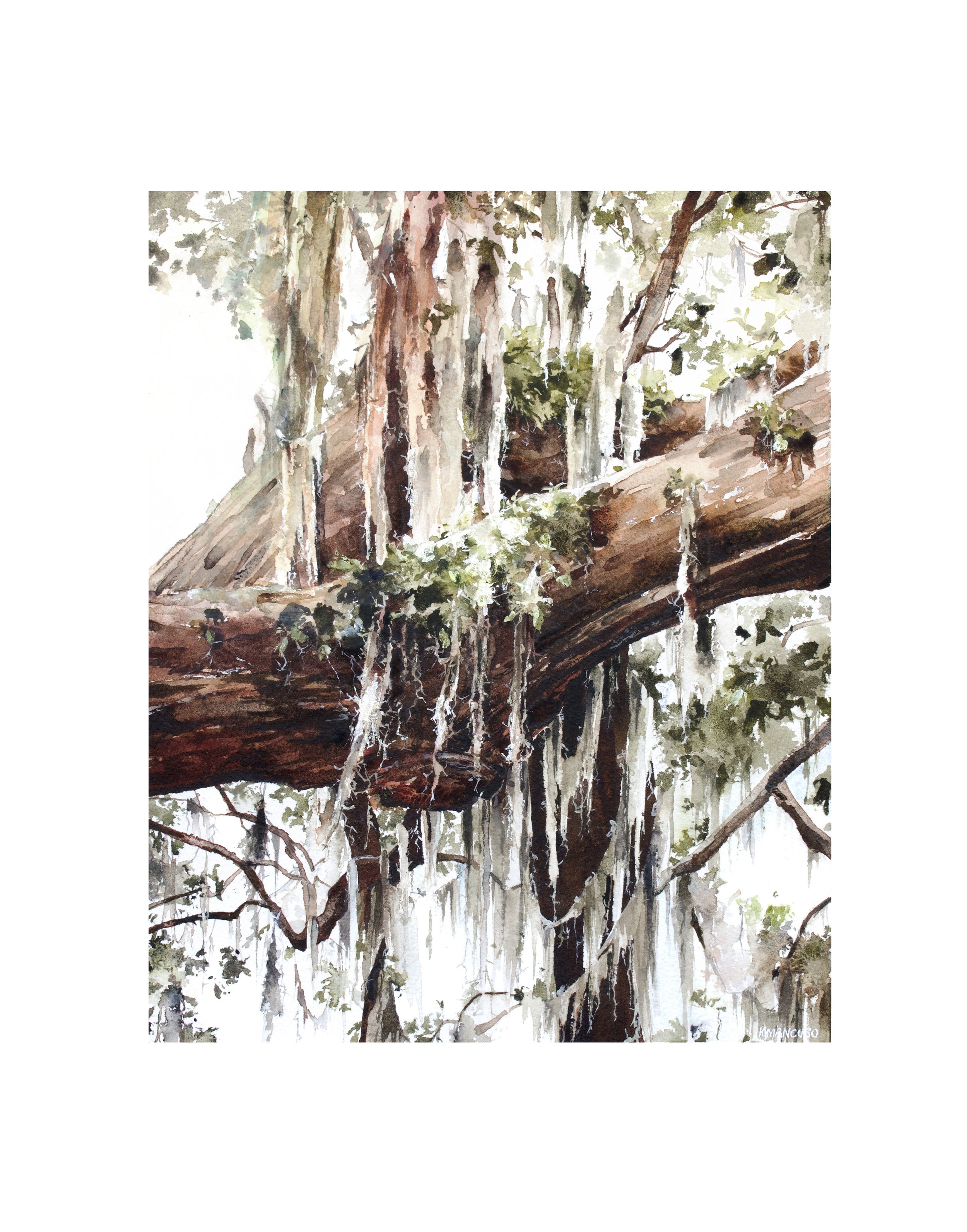 “Endless Growth” Print.jpg