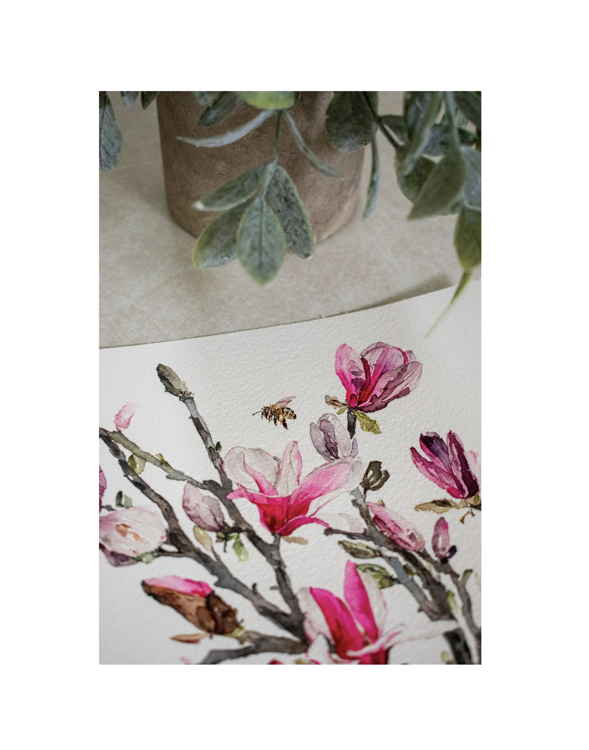 Purple Jap Magnolias 6.jpg