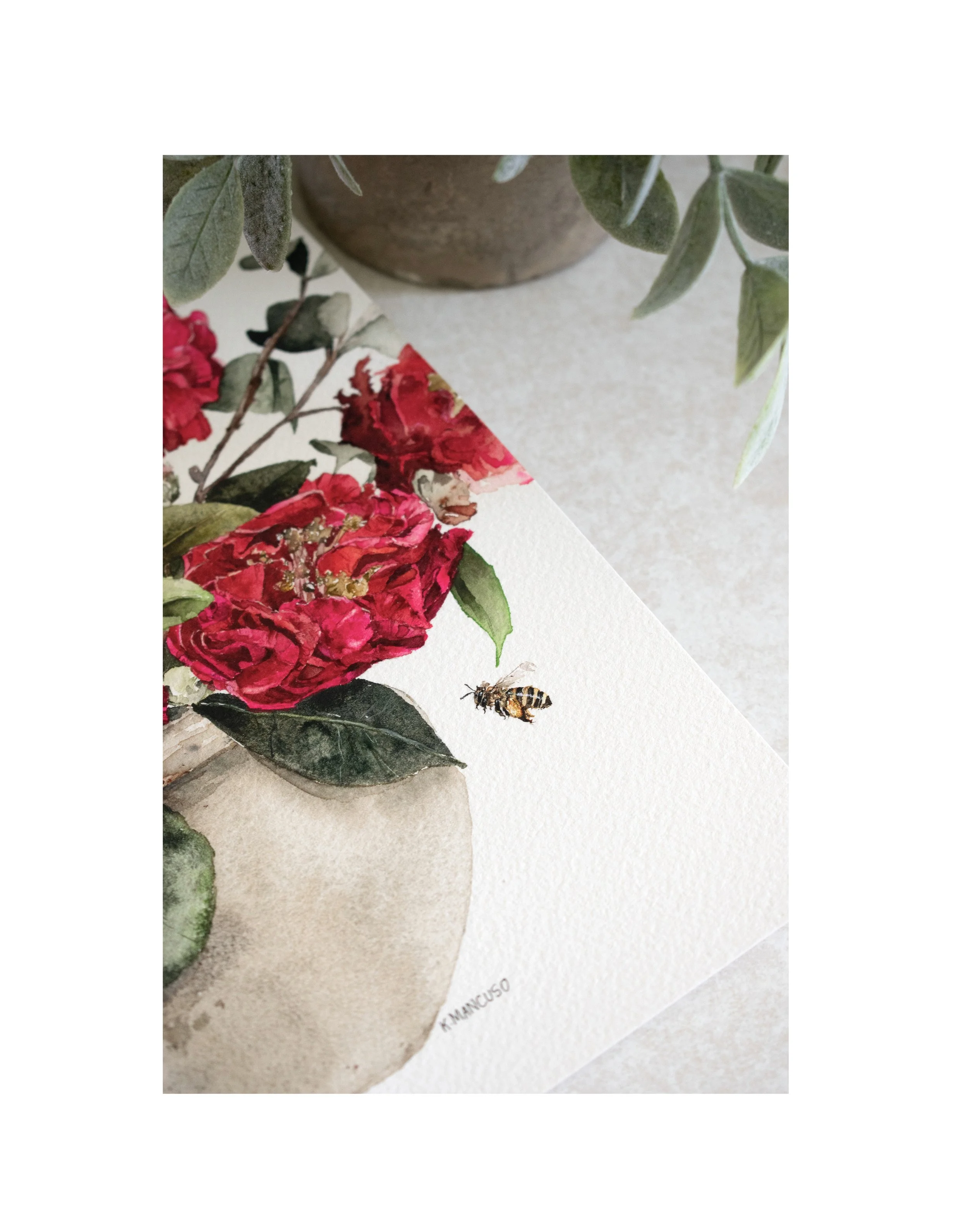 Camellias 5.jpg