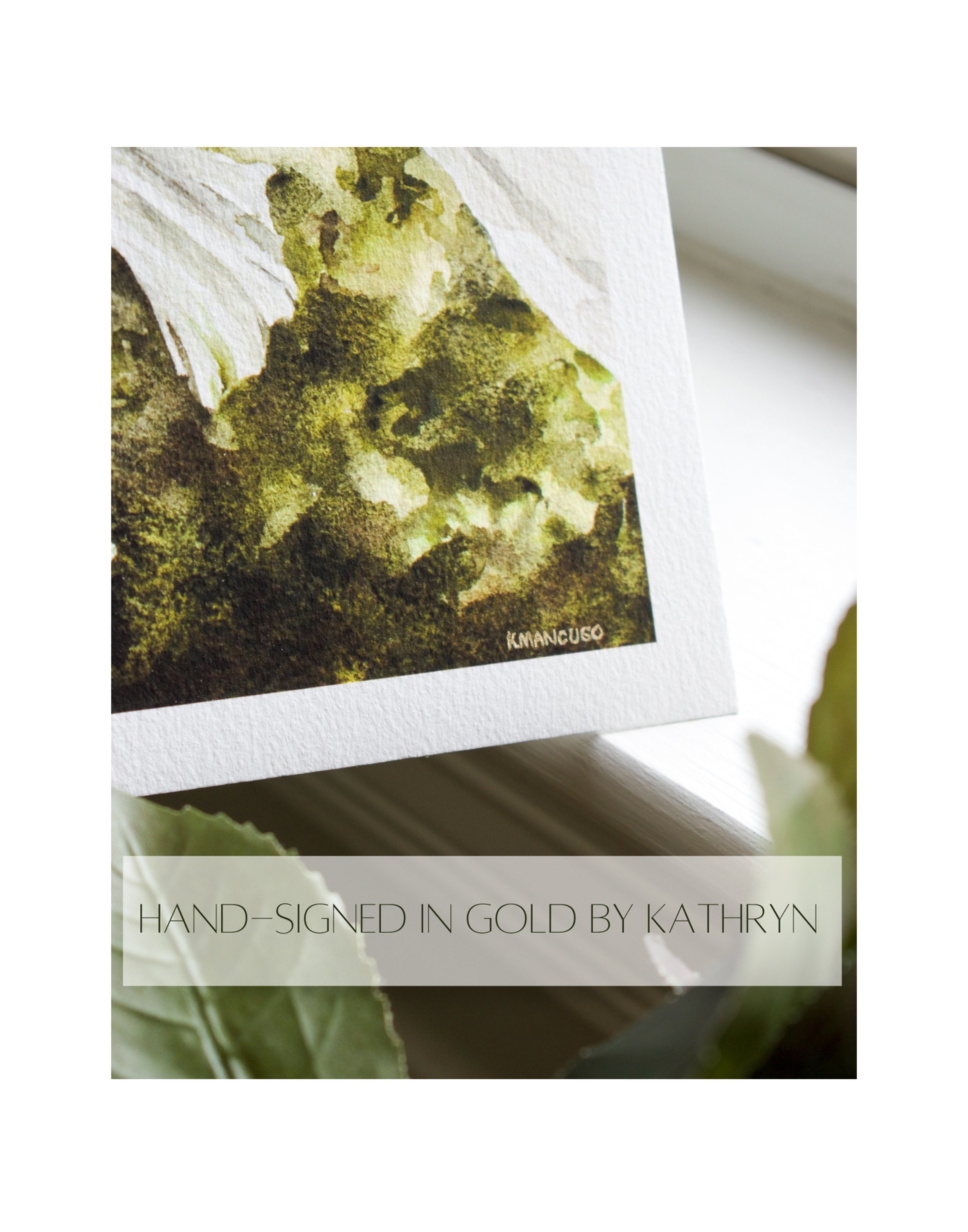 Cold-pressed paper profile.jpg