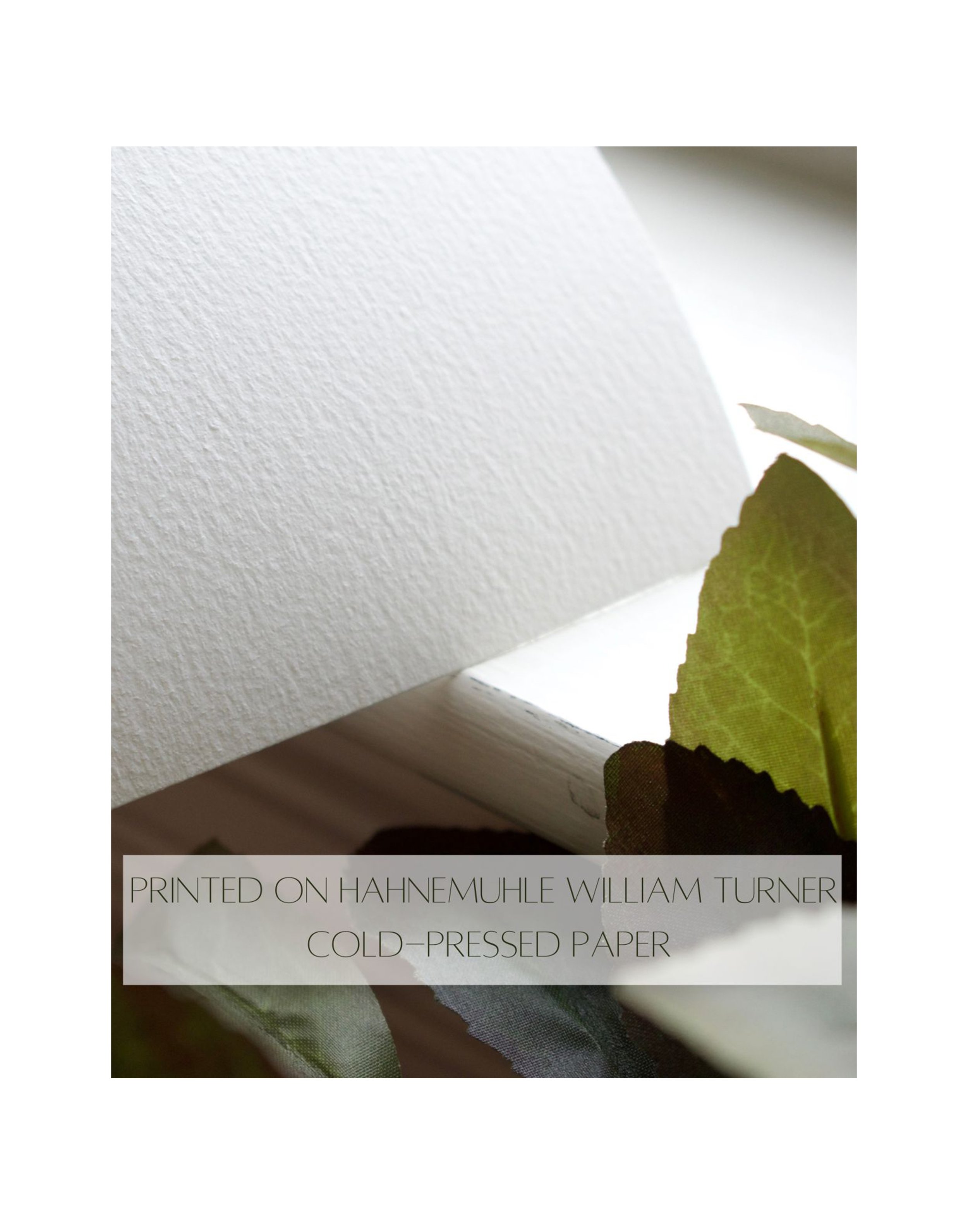 Cold-pressed paper profile .jpg