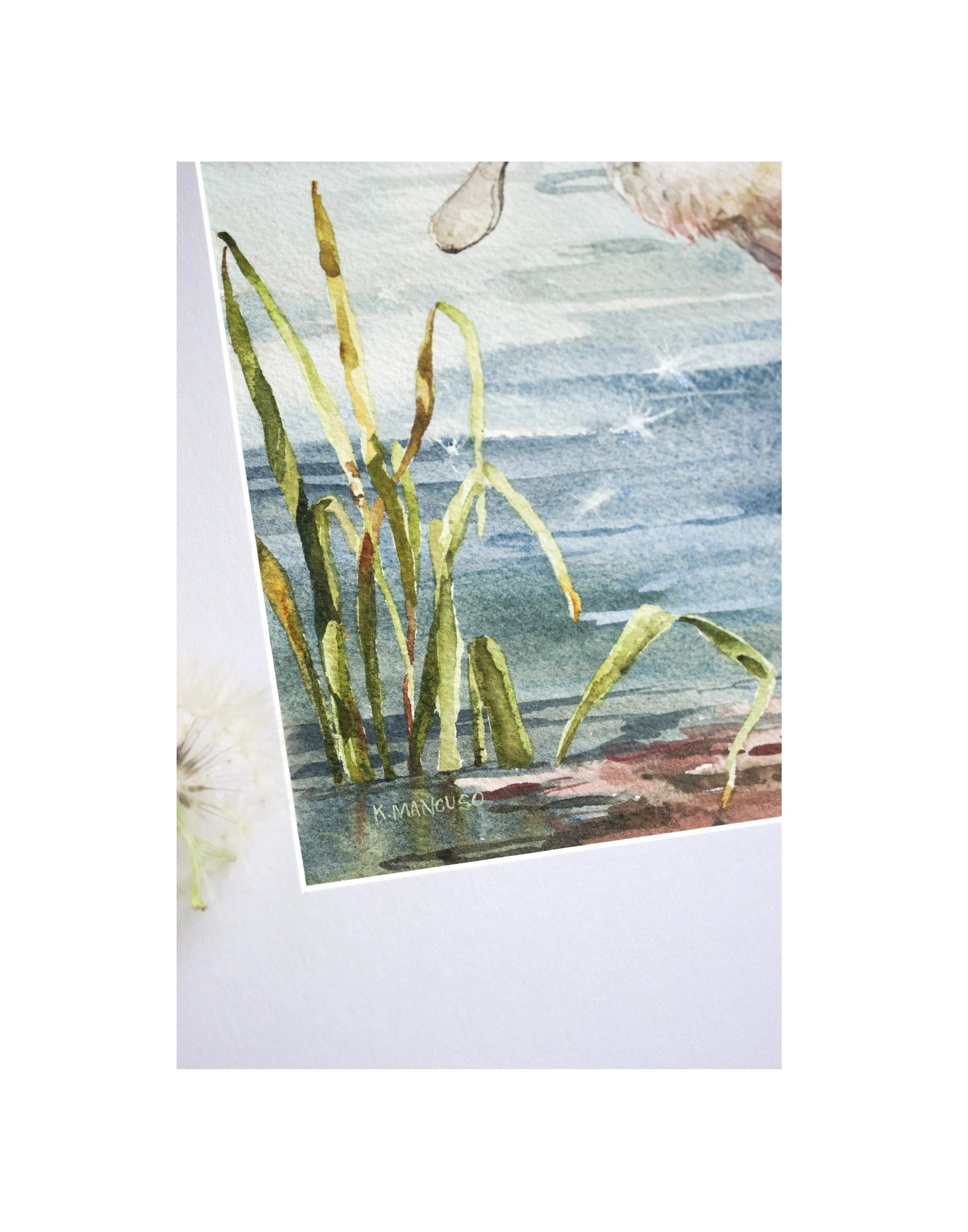 Spoonbills 7.jpg