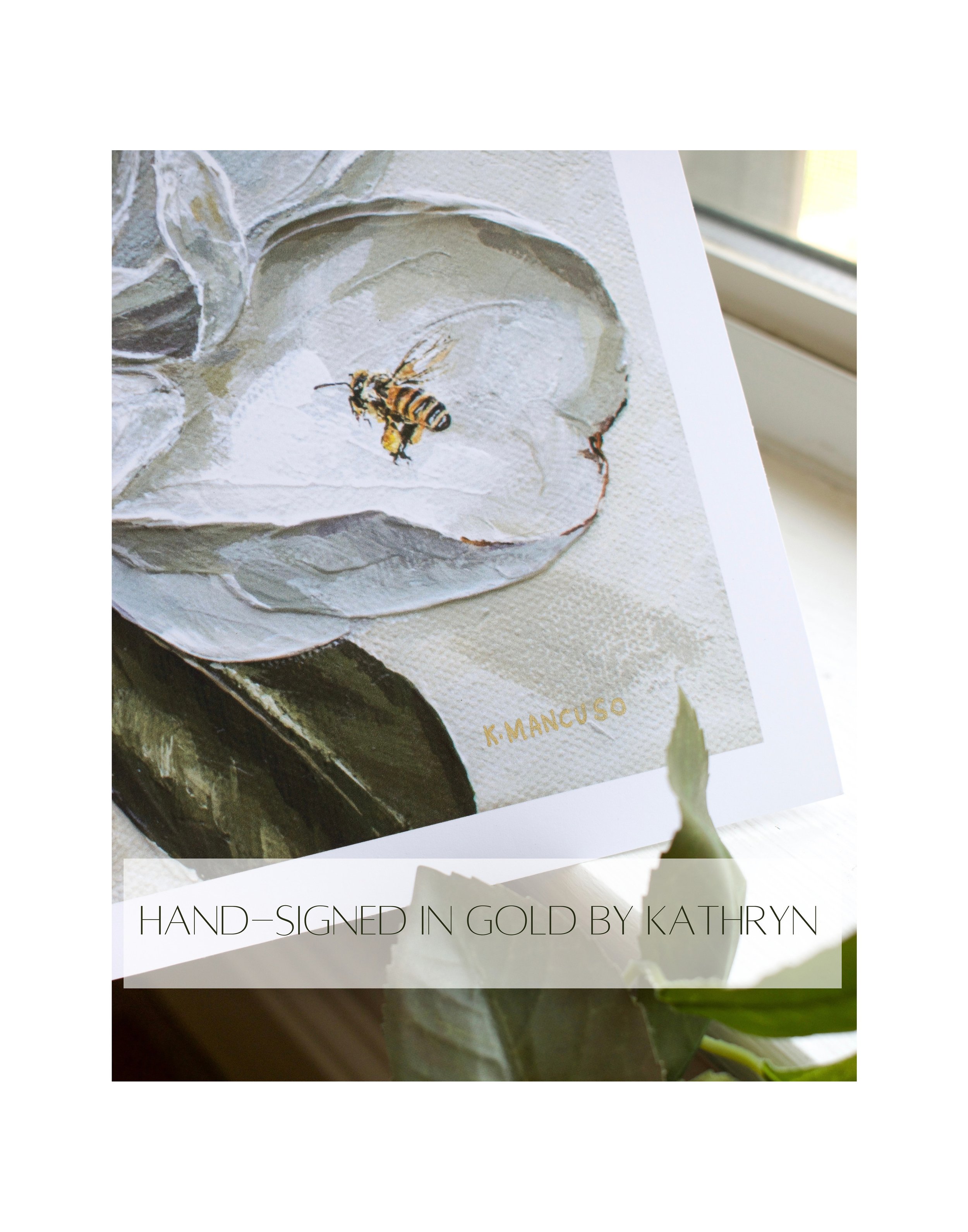 Matte Paper Profile 2.jpg