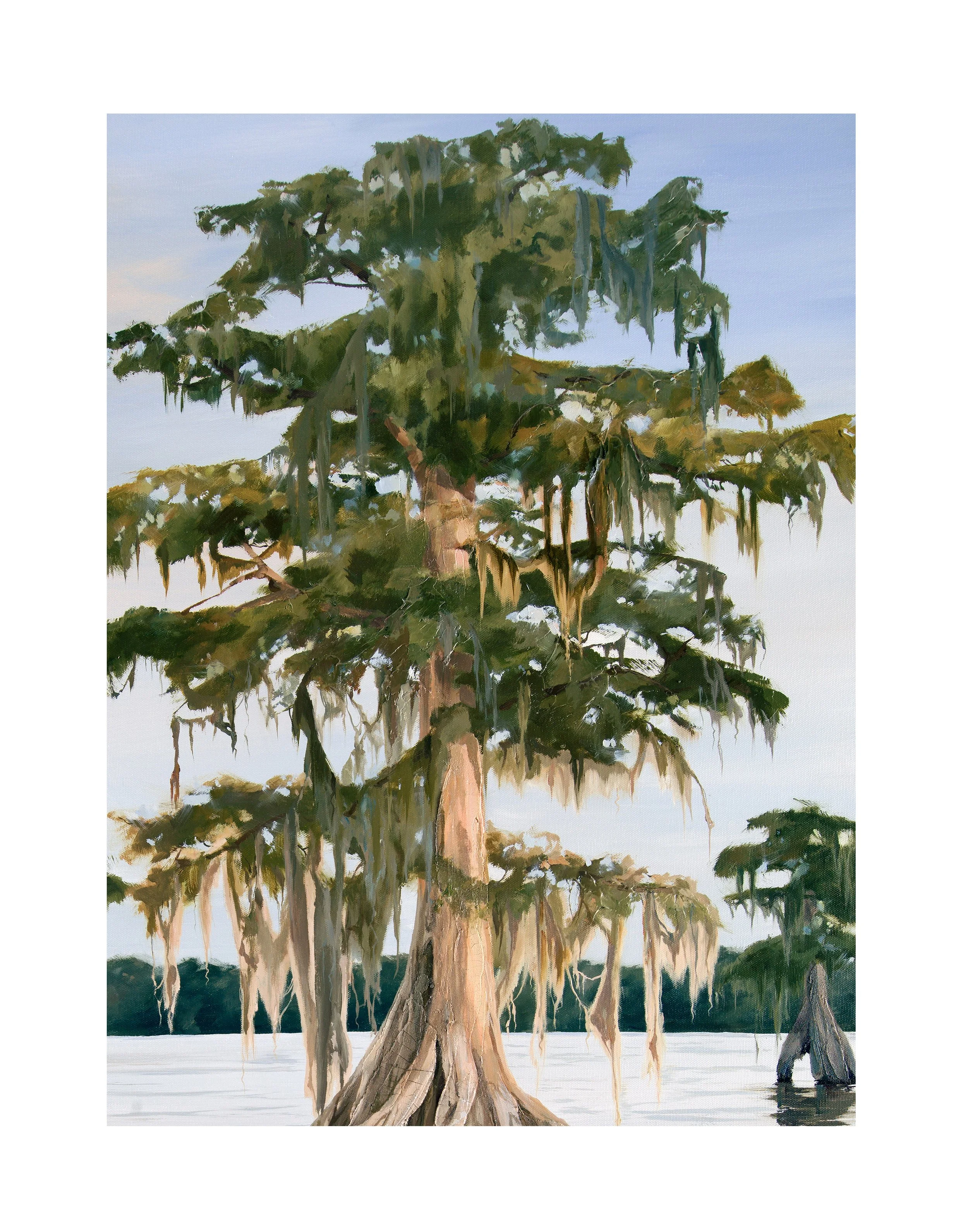 Just drifting bayou closeup 3.jpg