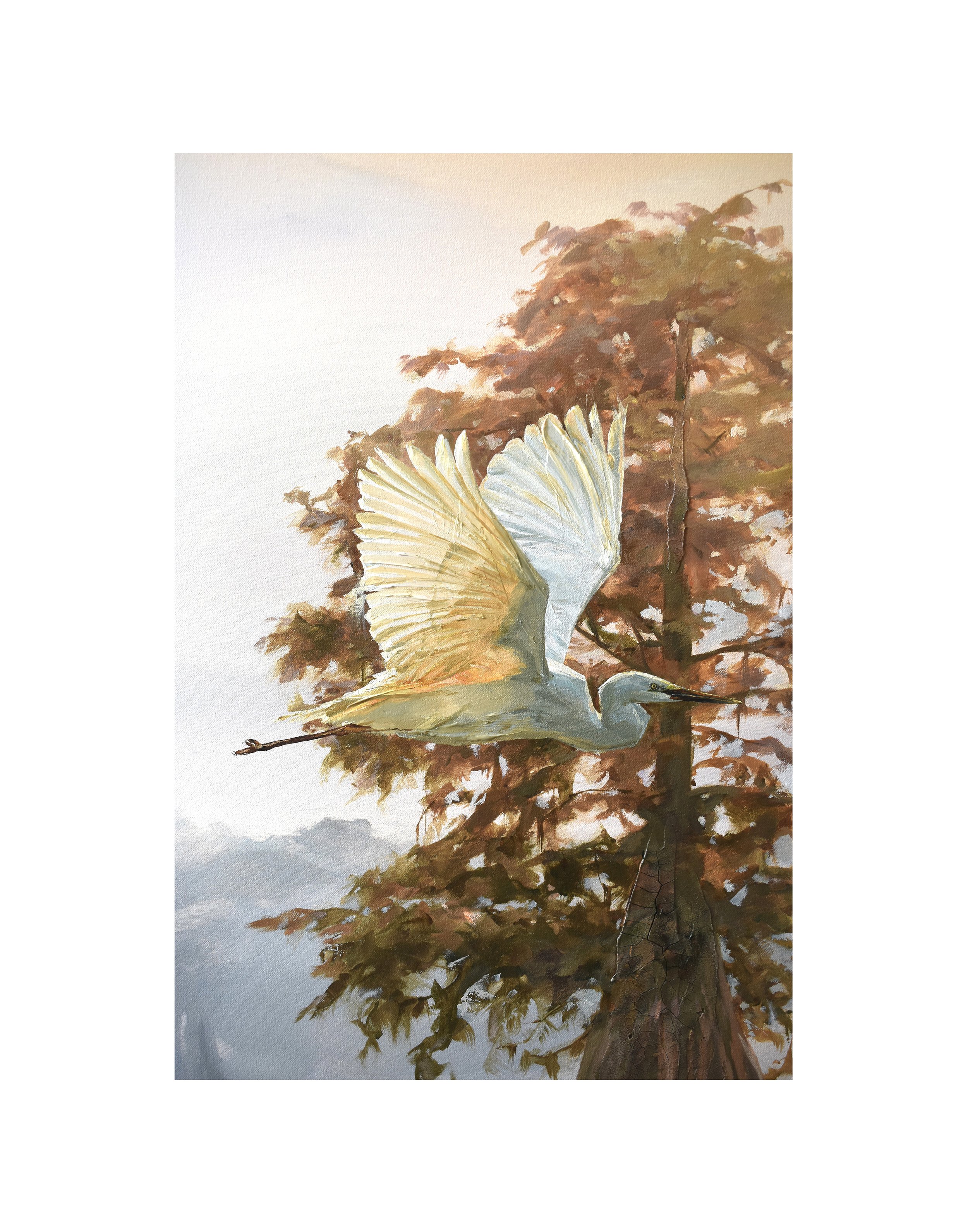 In Radiant Harmony closeup 4.jpg