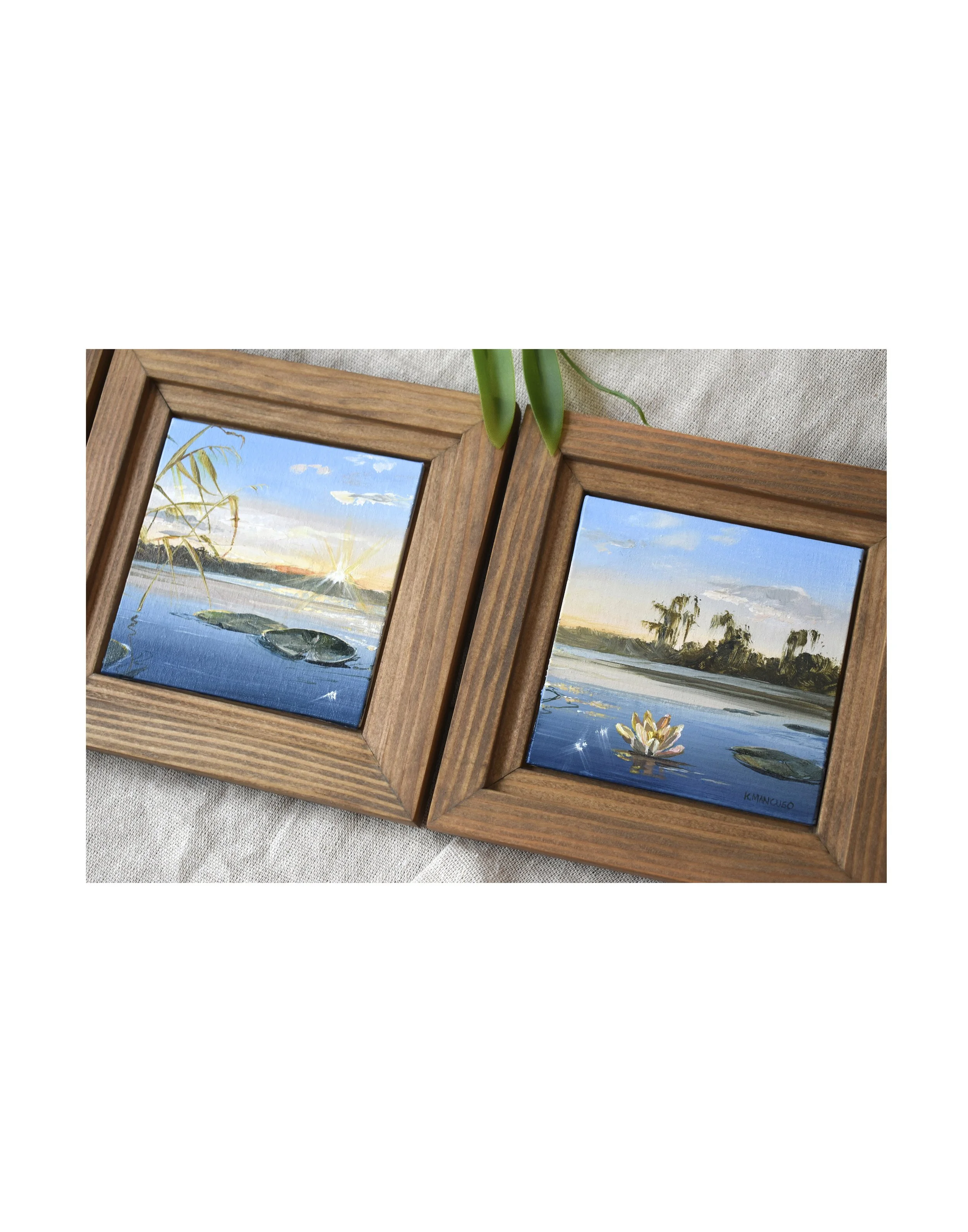 Lotus Study II Framed 3.jpg