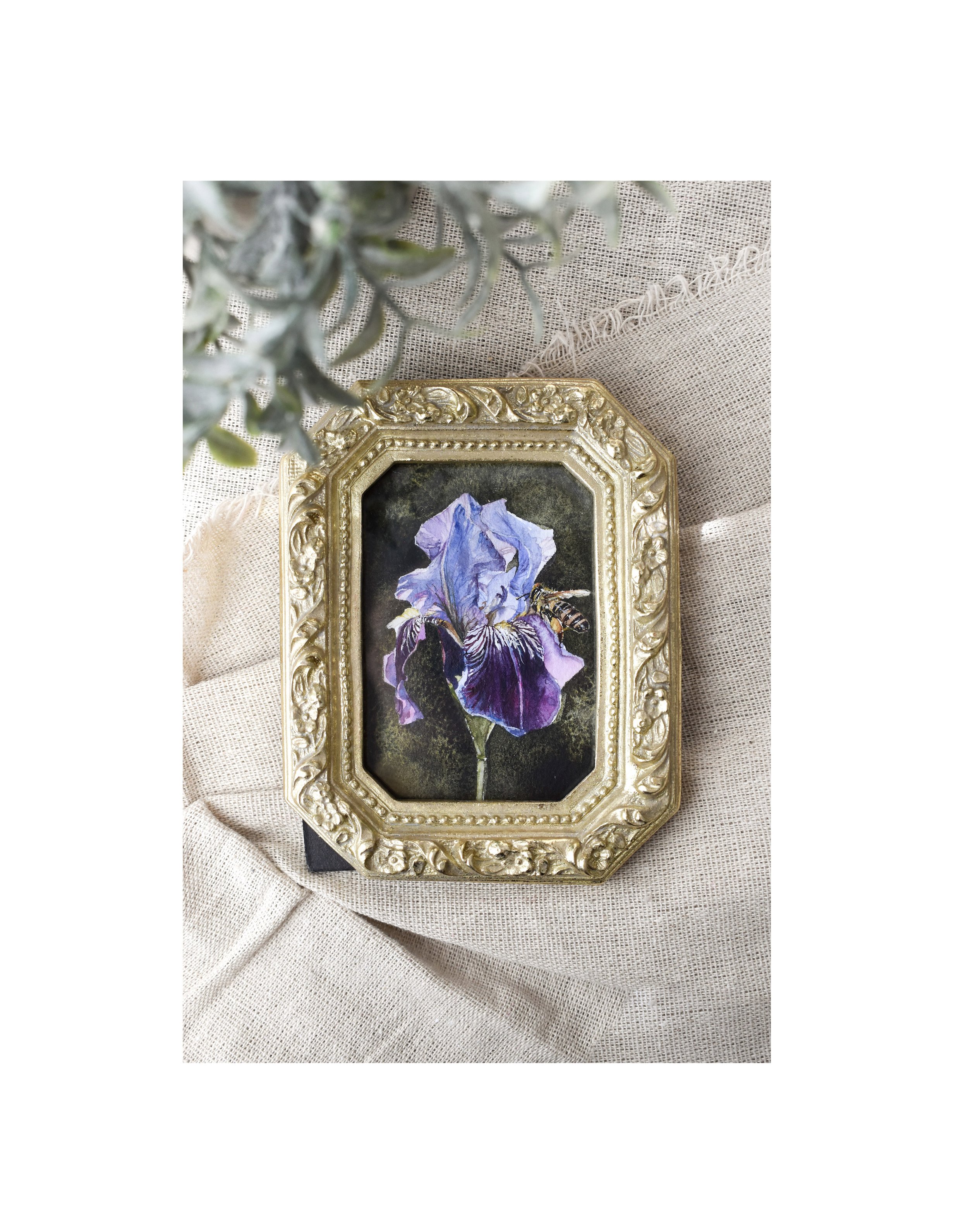 Iris 2.jpg