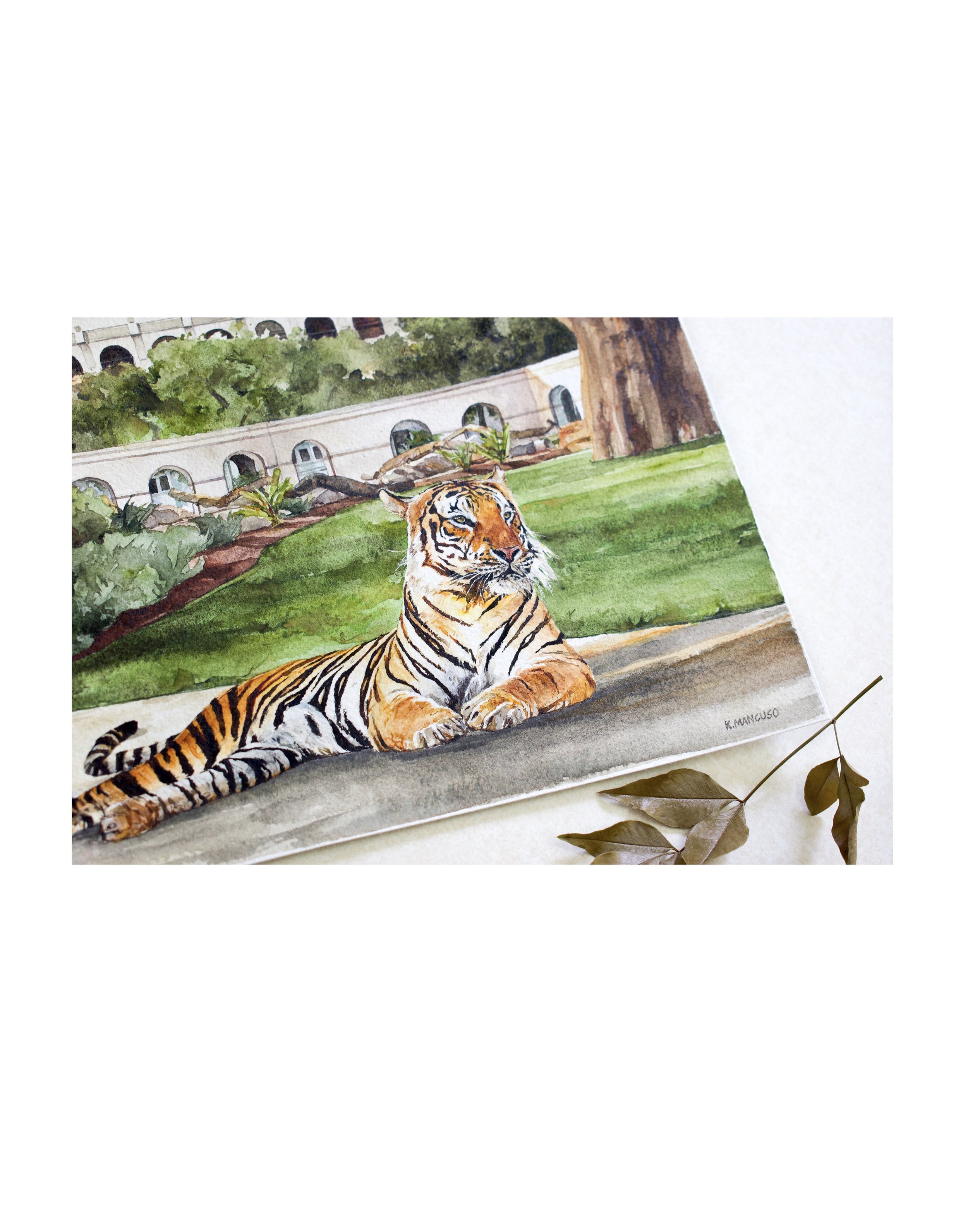 Welcome to the Tiger Den Profile 3.jpg