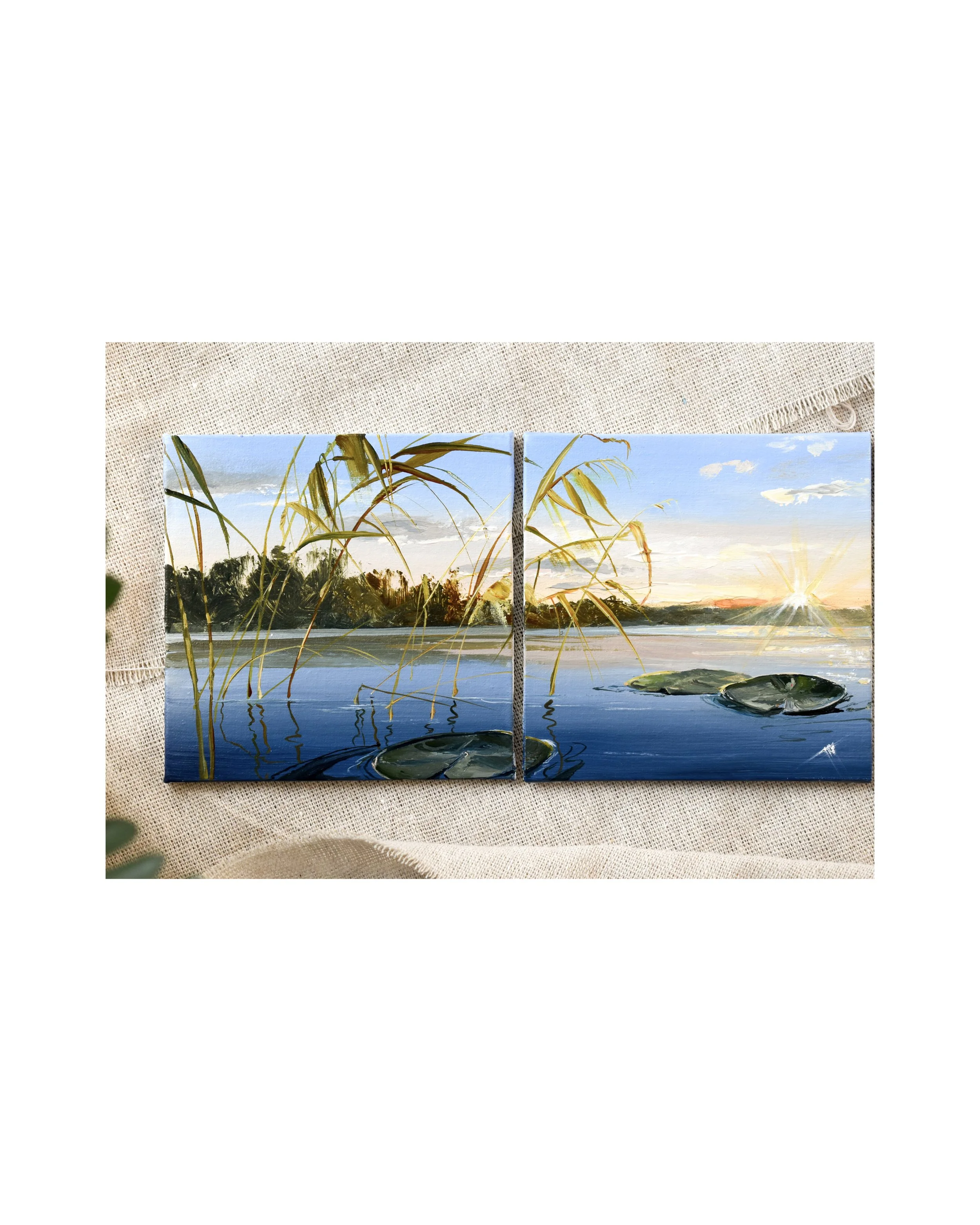 Lotus Flower Study II 3.jpg