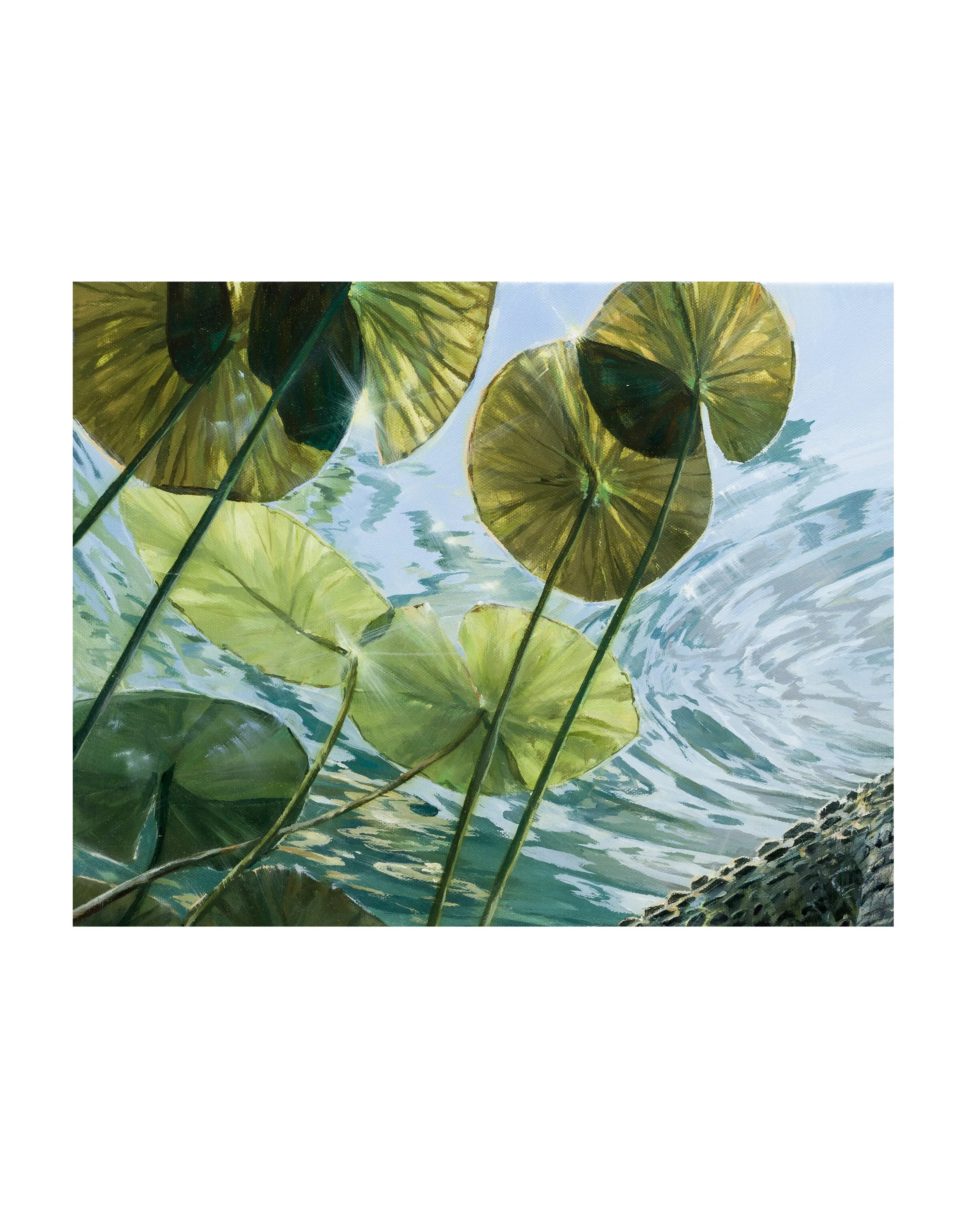 Whatever floats your boat closeup 2.jpg