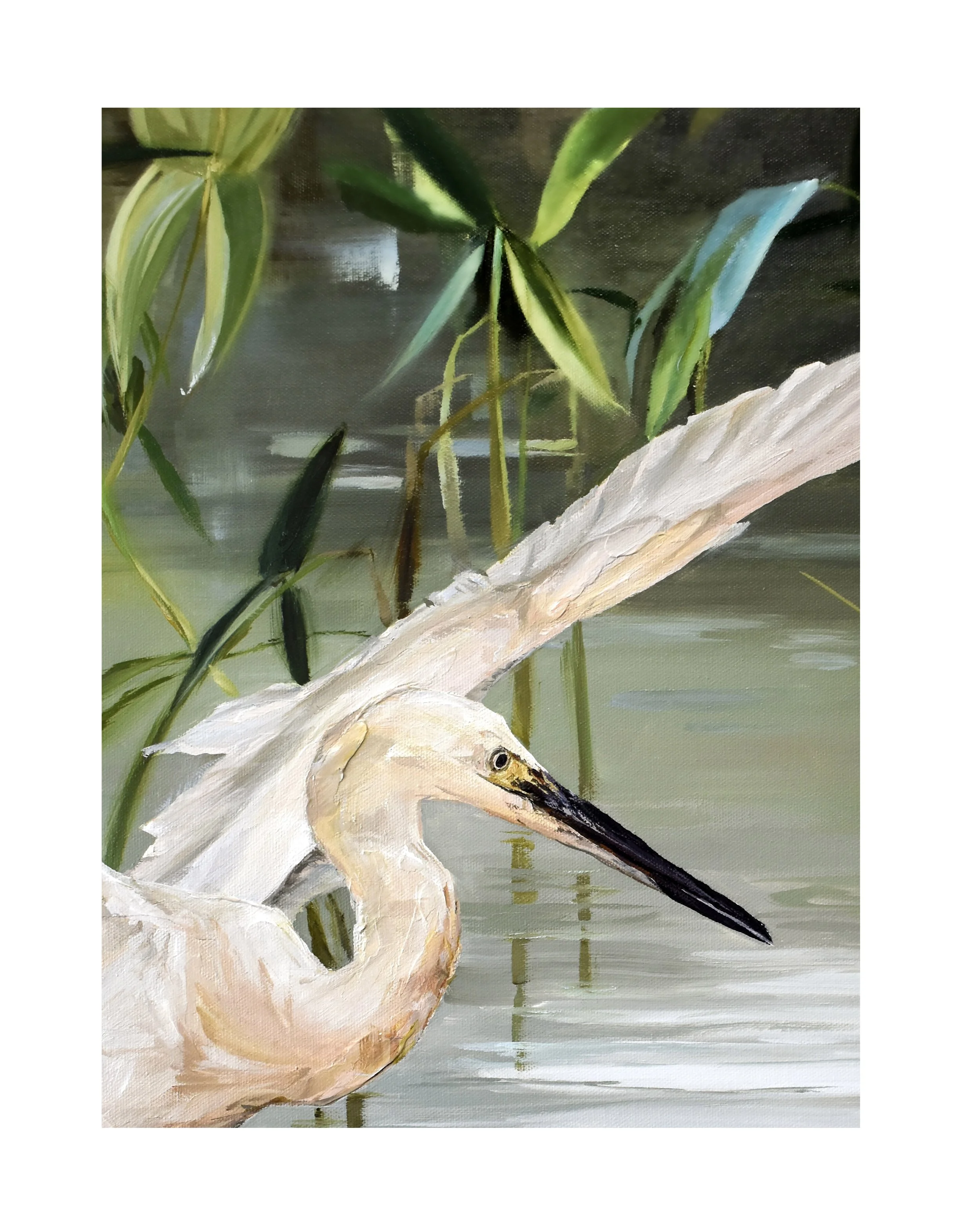 Light as a feather closeup 3.jpg