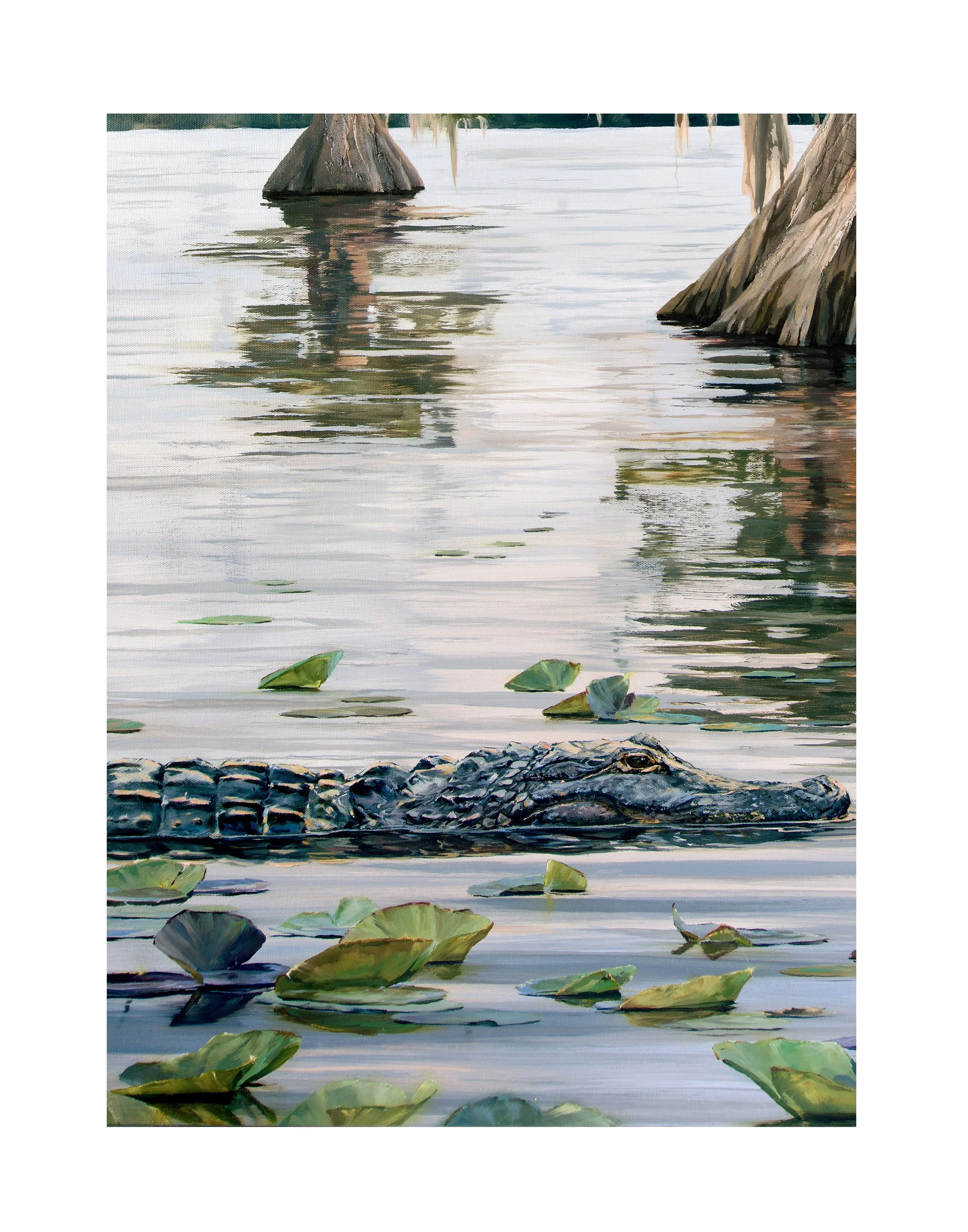 Just drifting bayou closeup 1.jpg