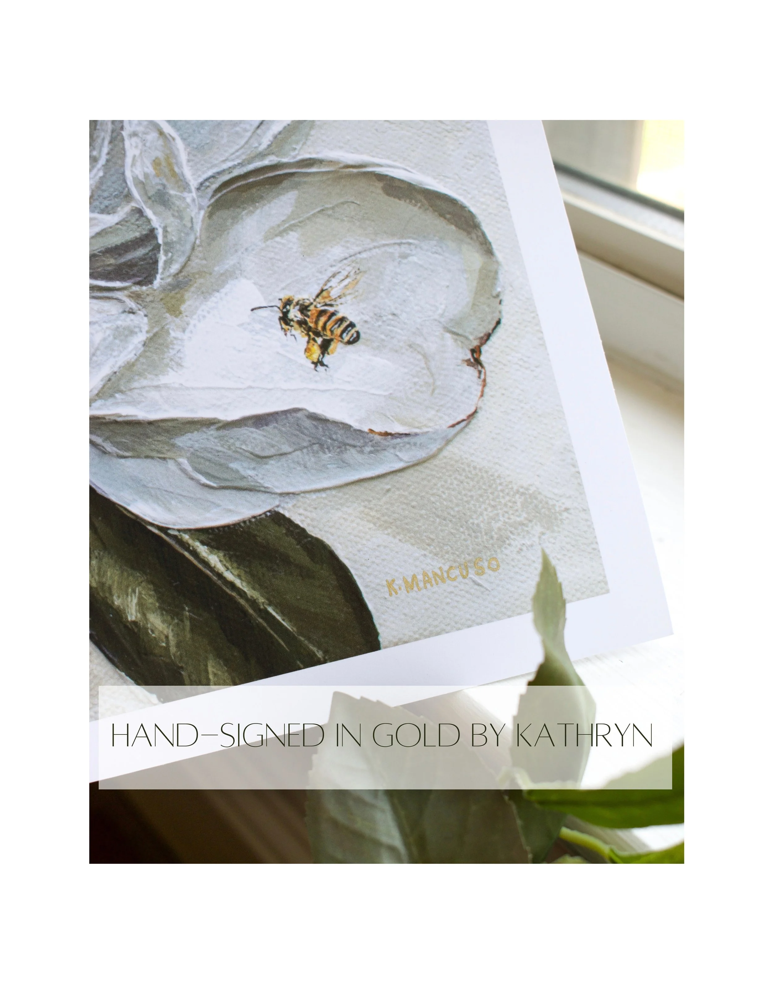 Matte Paper Profile 2.jpg