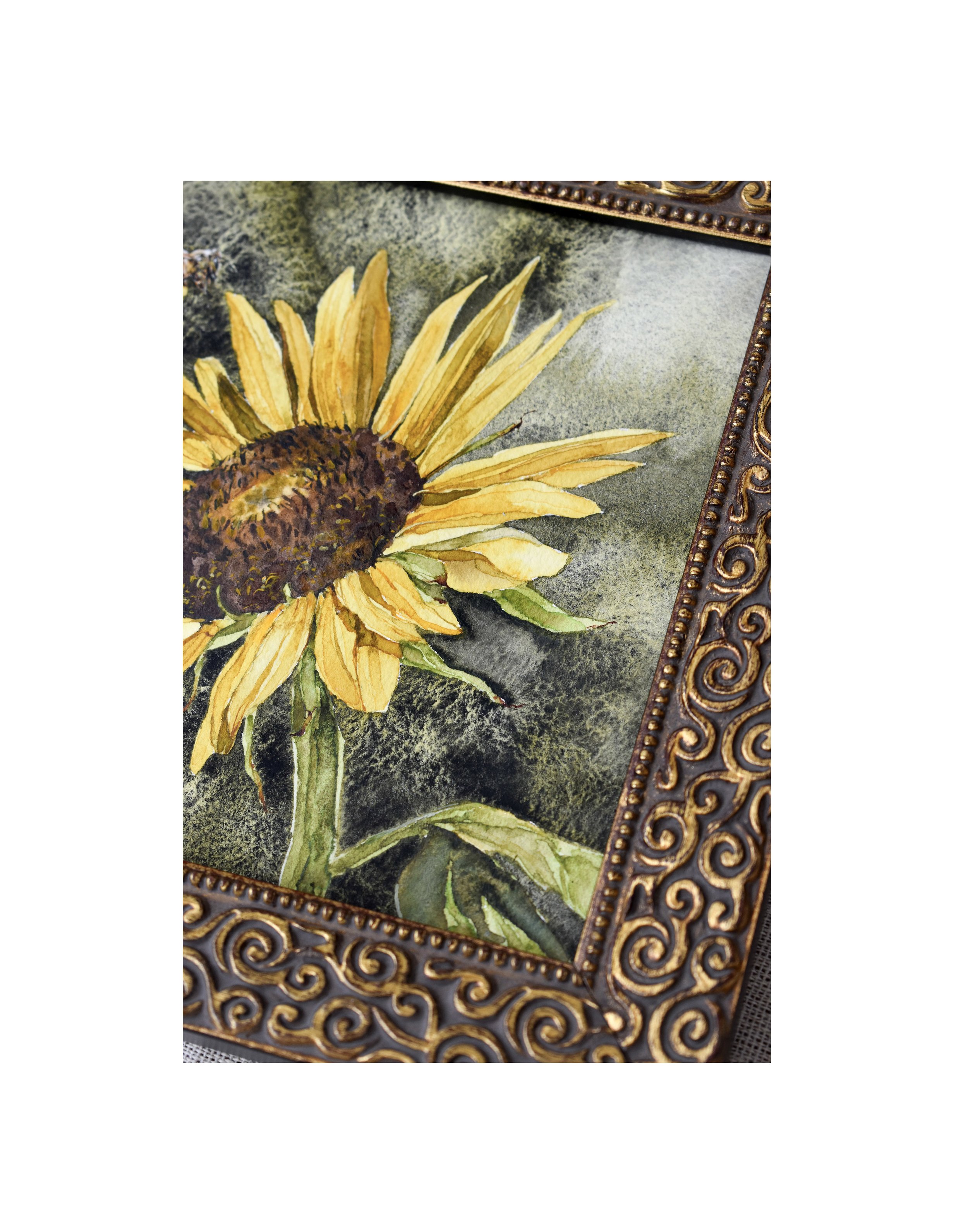 Sunflower 3.jpg