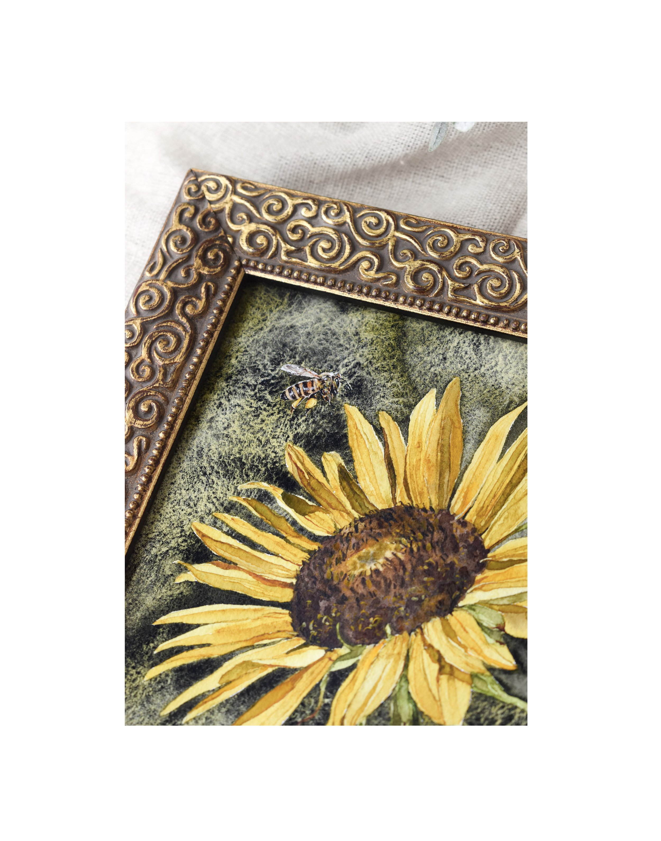 Sunflower 2.jpg