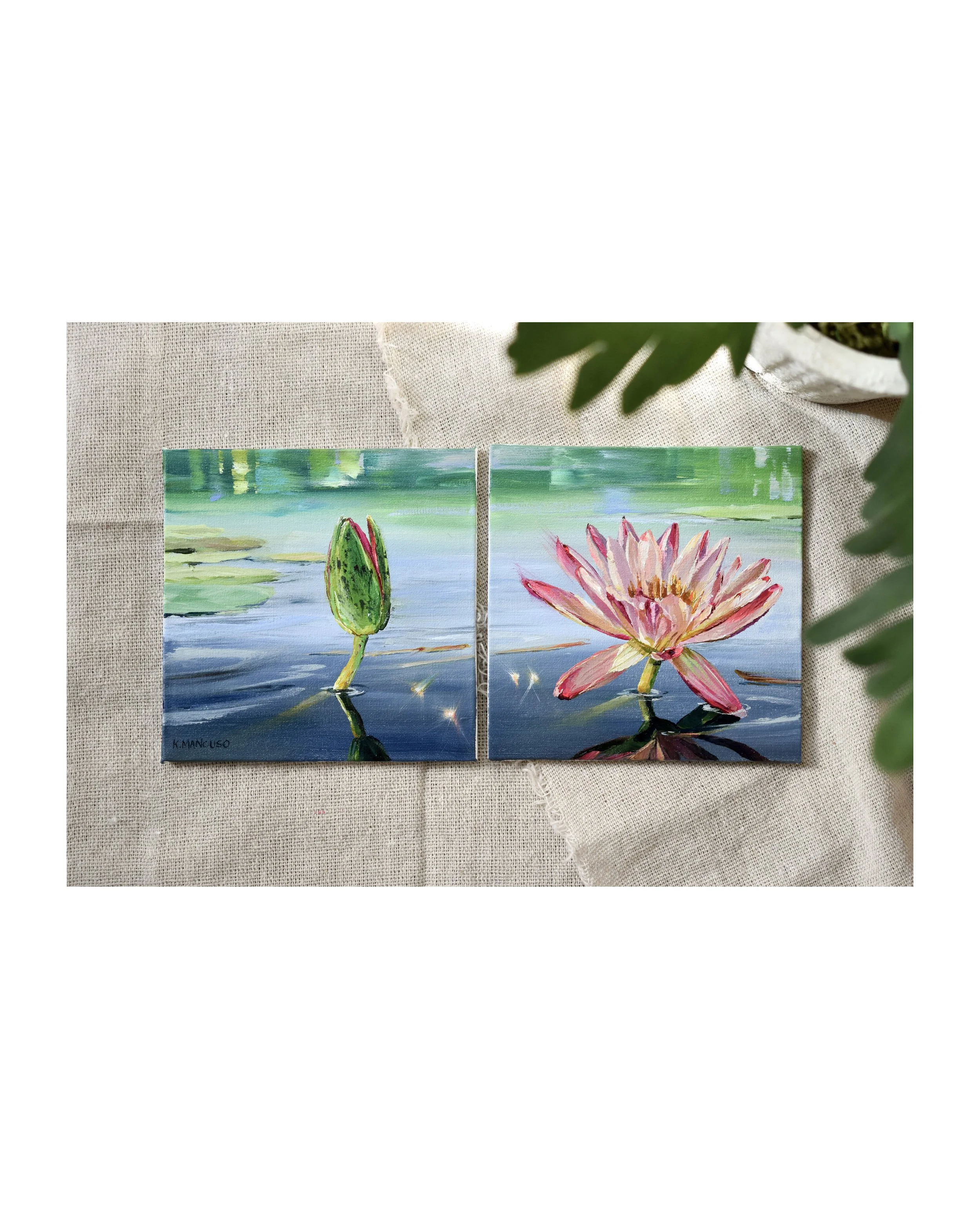 LOTUS STUDY III - Original Set