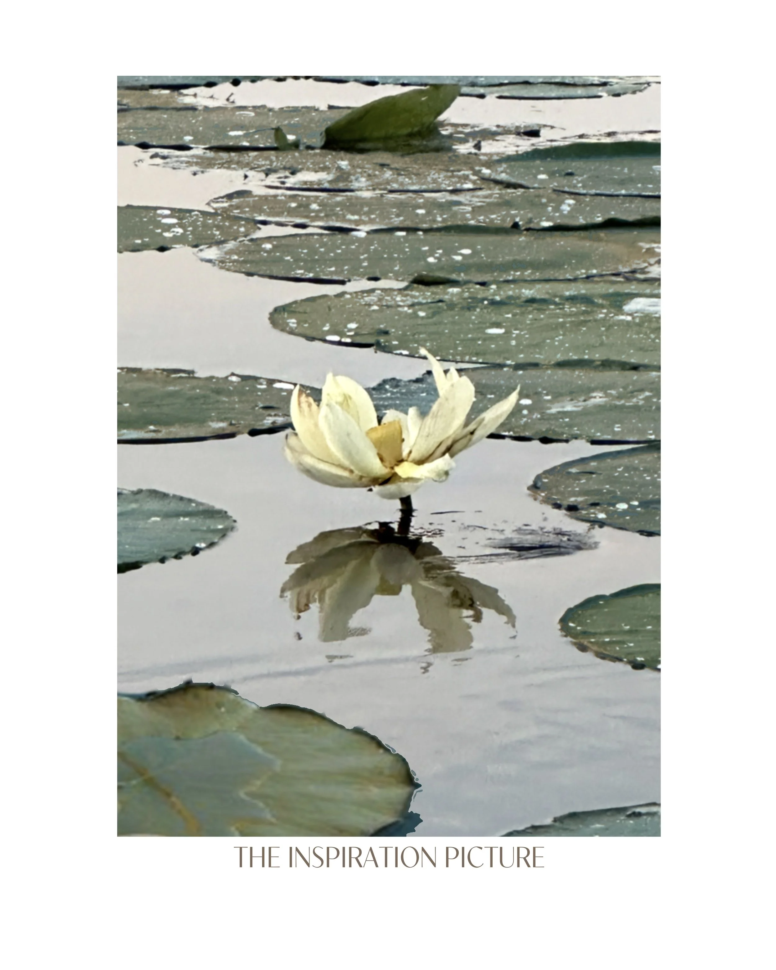 Lotus flower inspo pic.jpg