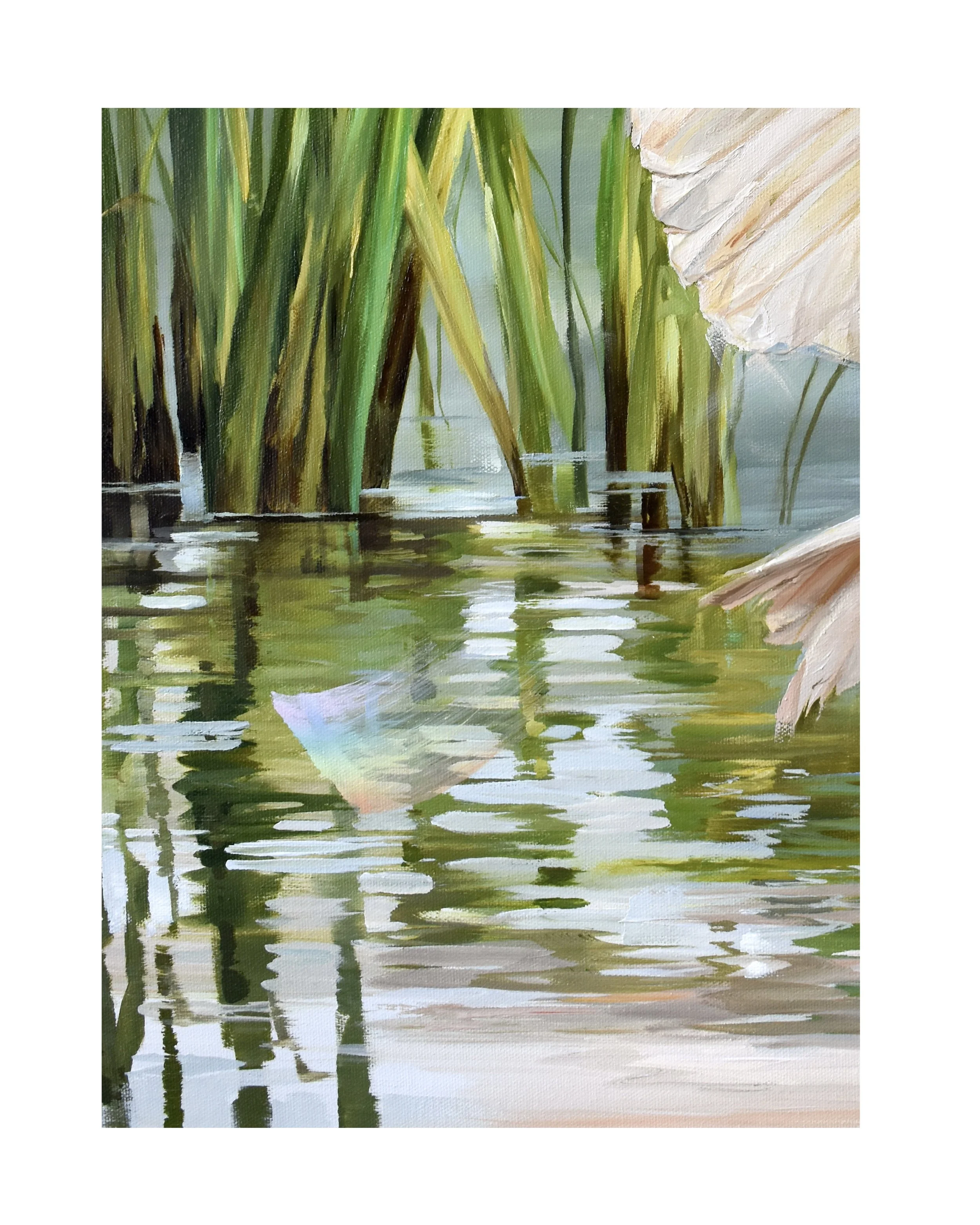 Light as a feather closeup 2.jpg