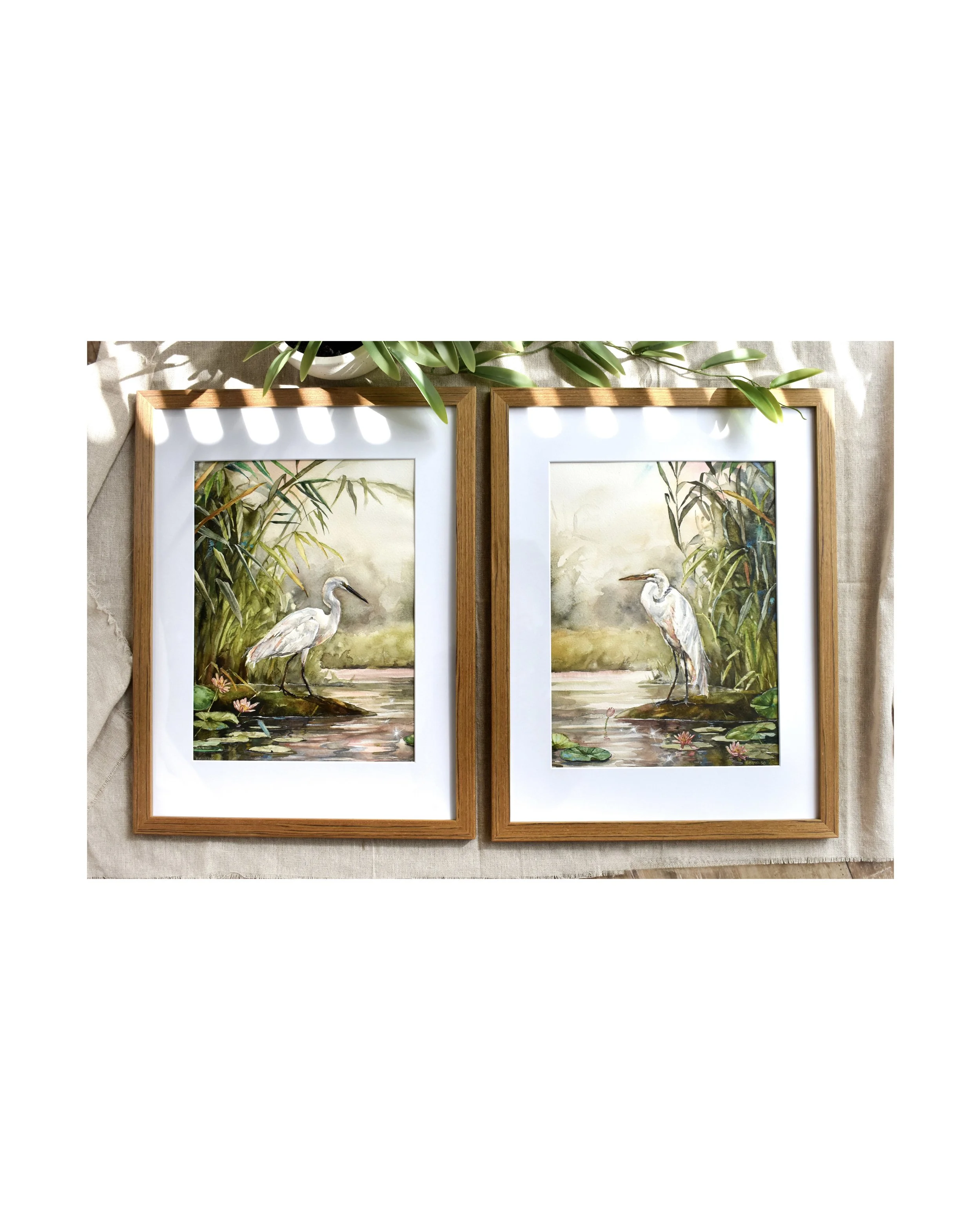 Right Time, Right Place Profile.jpg