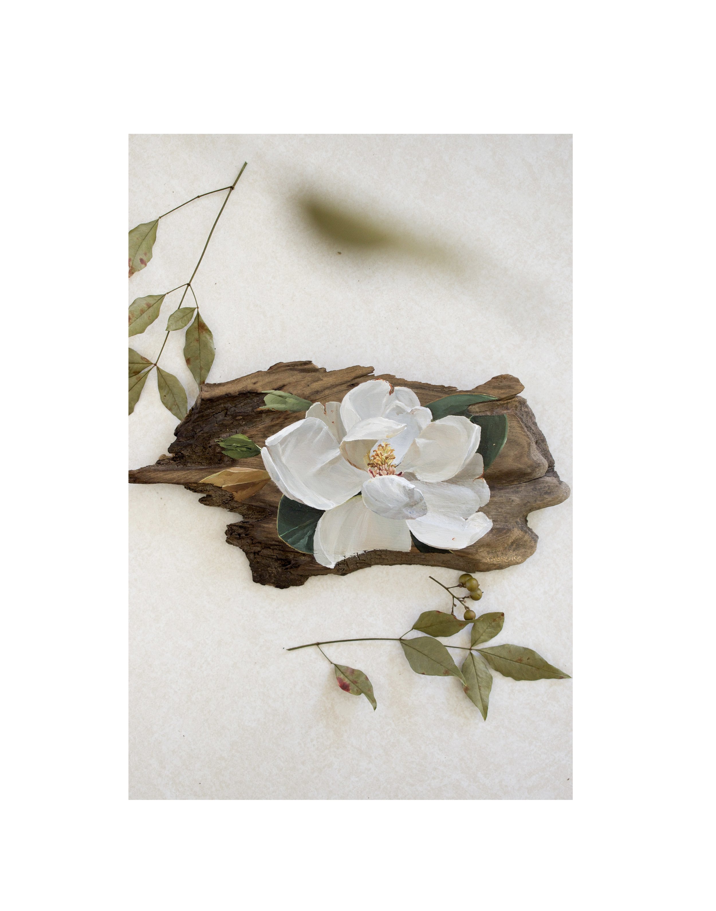 Gentle Blooms Profile.jpg
