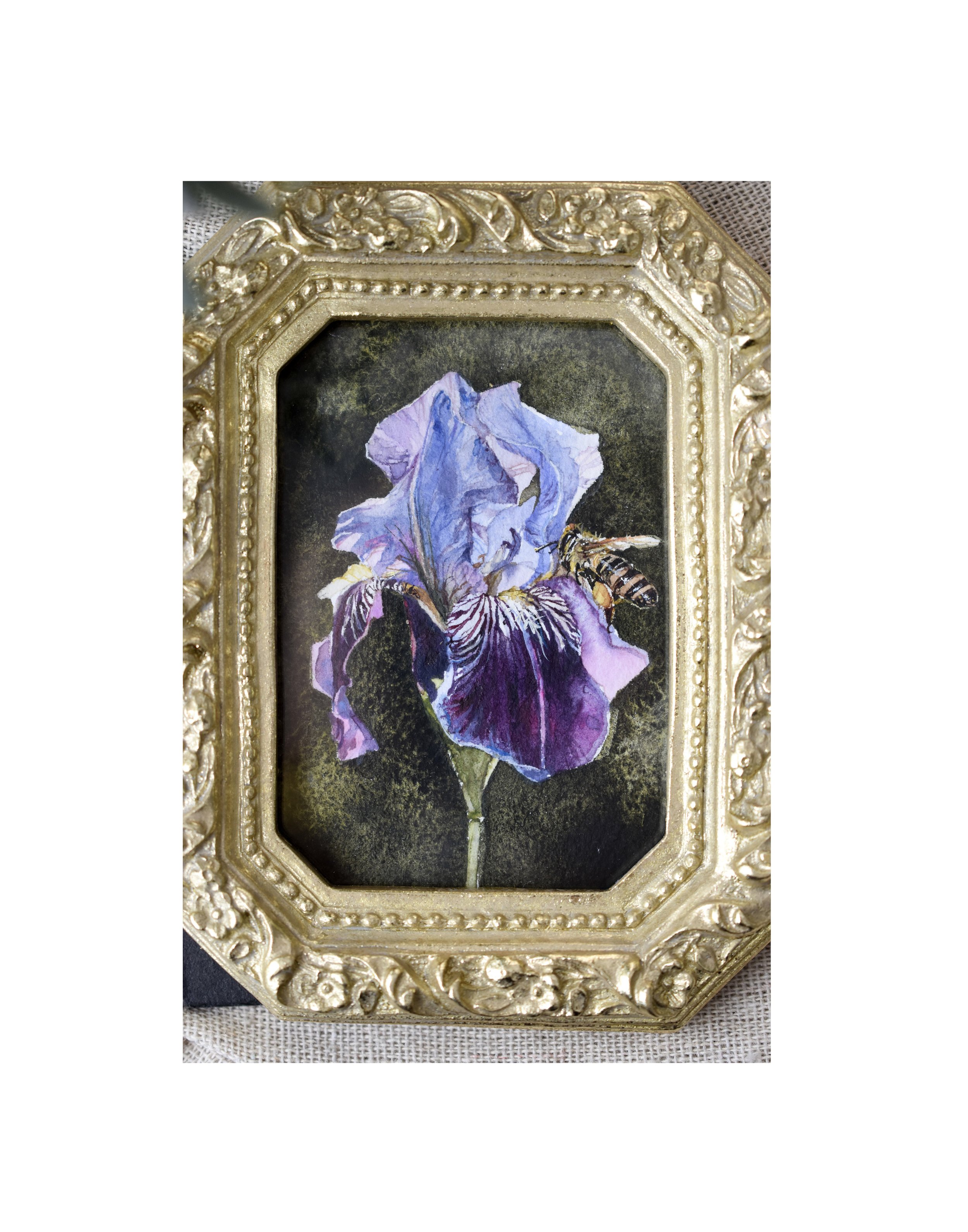 Iris 3.jpg