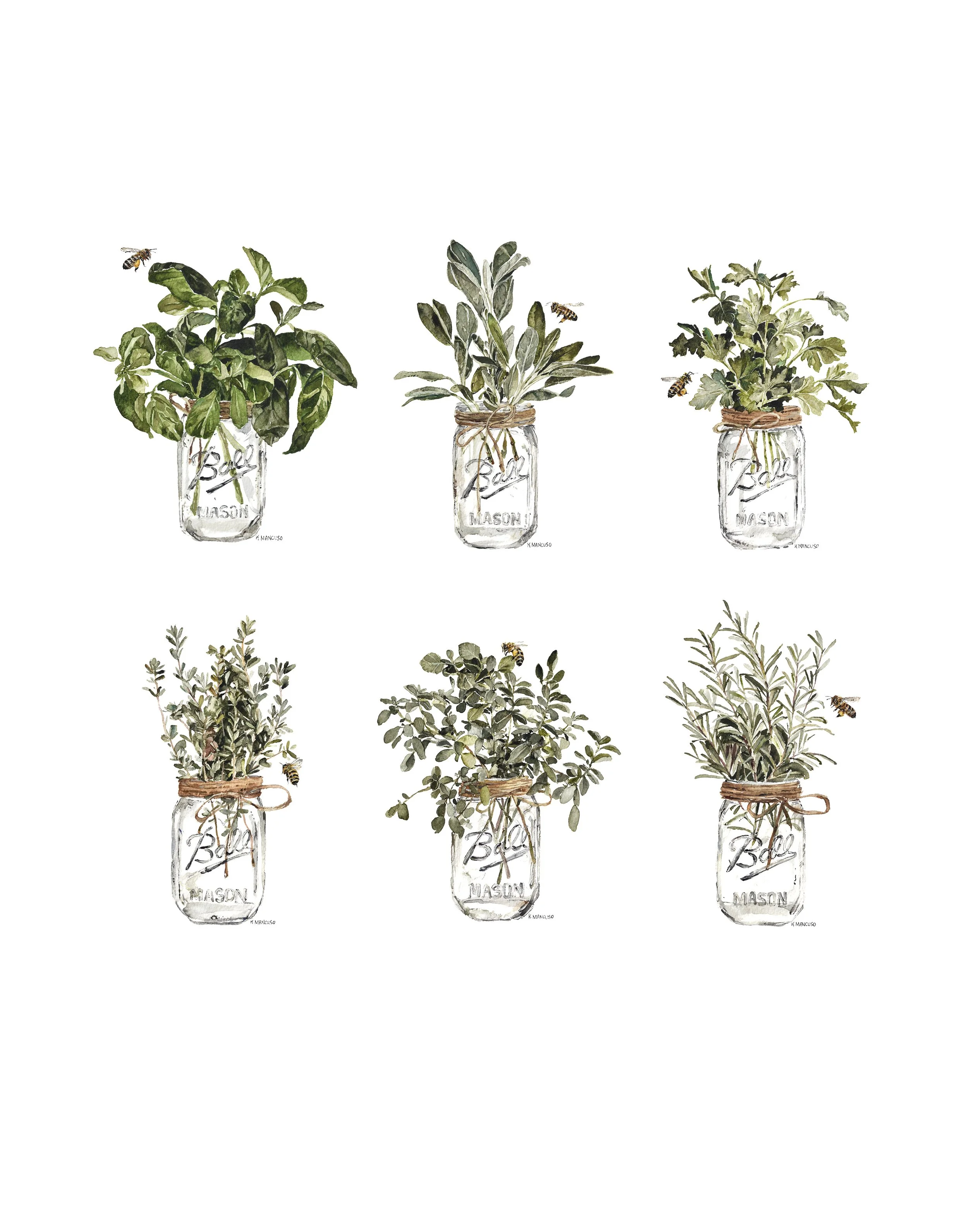 JARS OF HERBS - Print