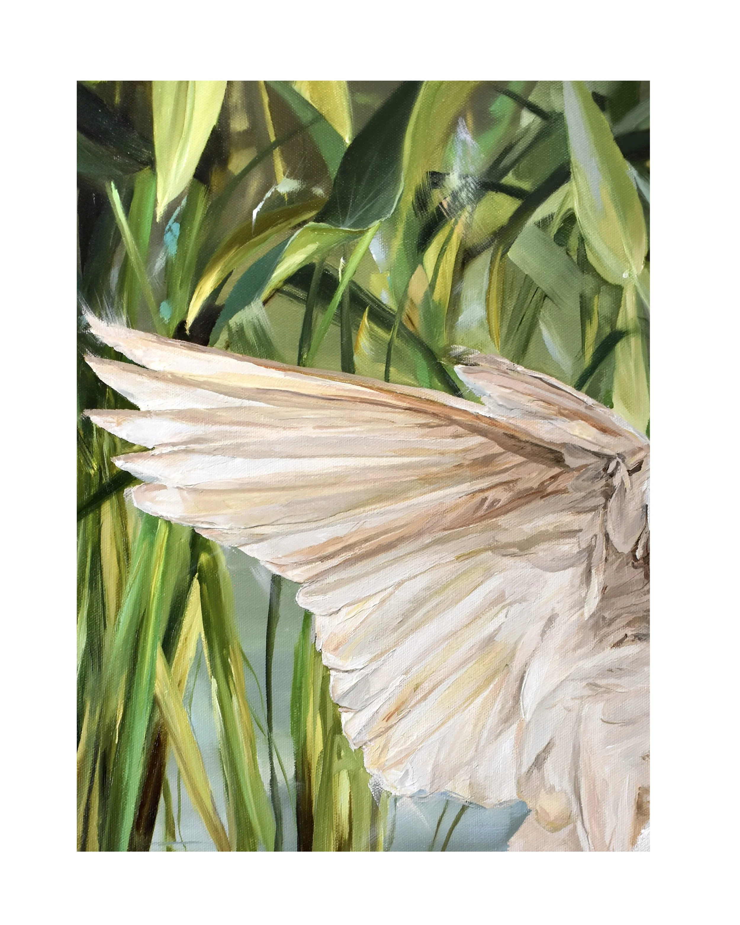 Light as a feather closeup 4.jpg