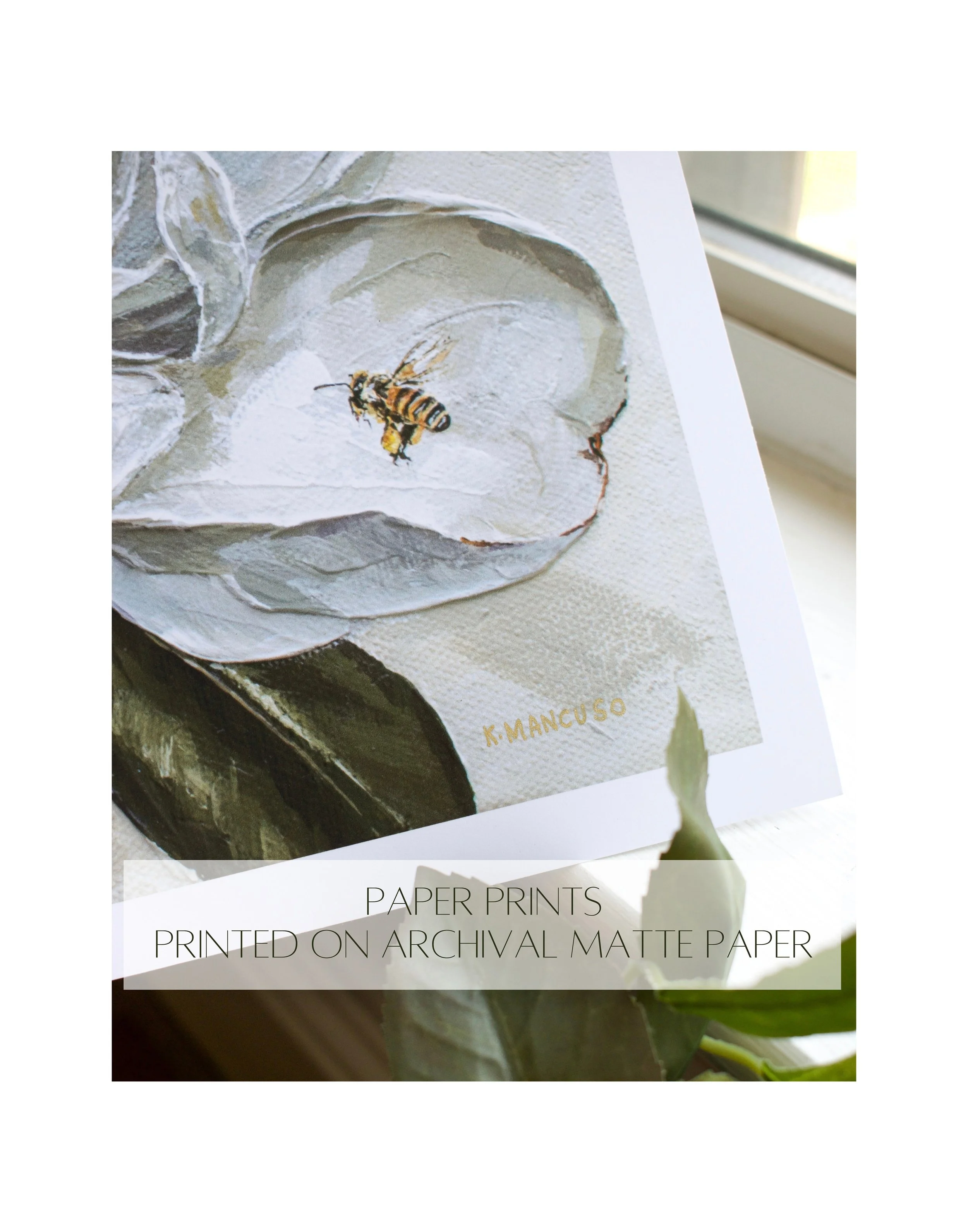 Matte Paper Profile.jpg