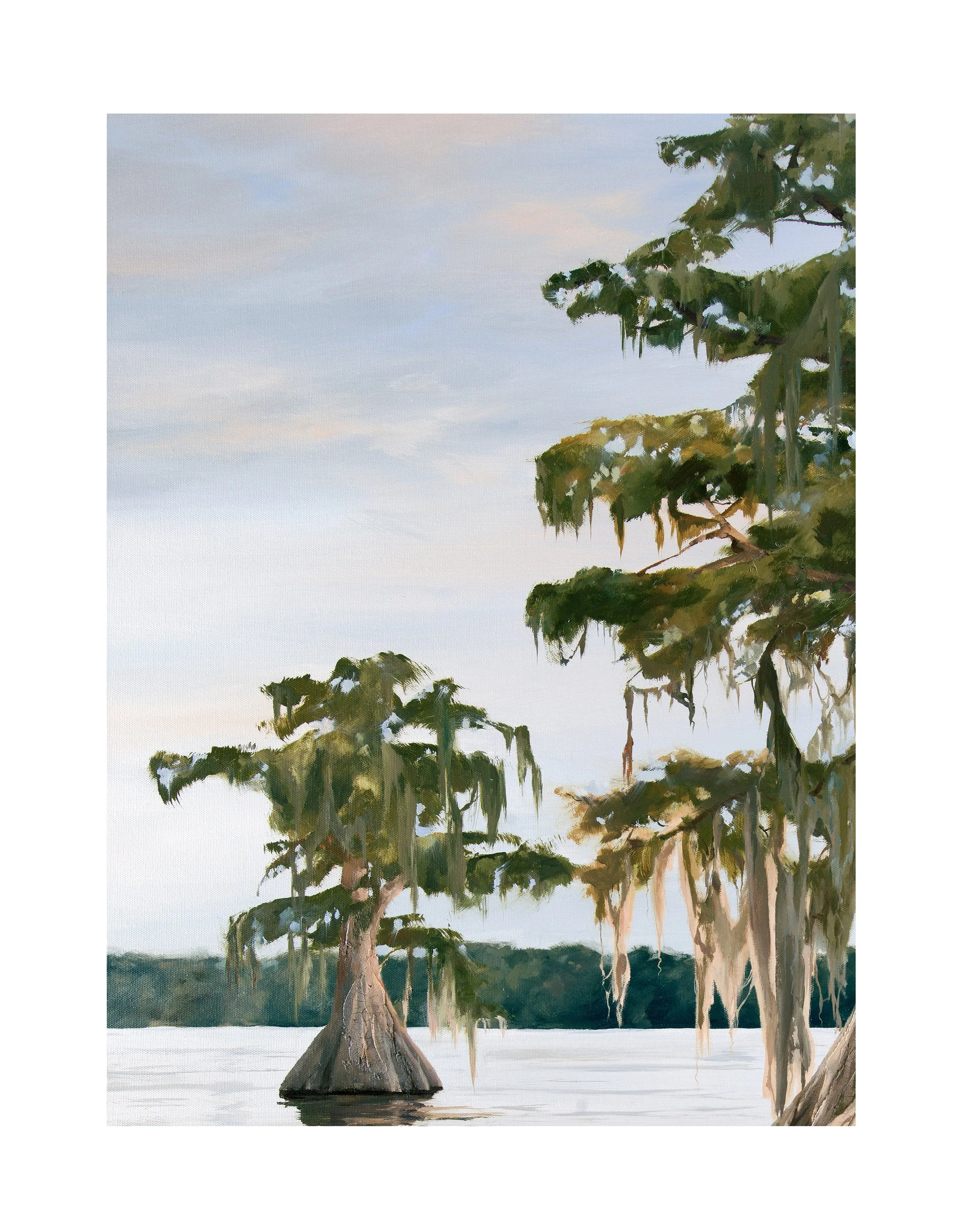 Just drifting bayou closeup 2.jpg
