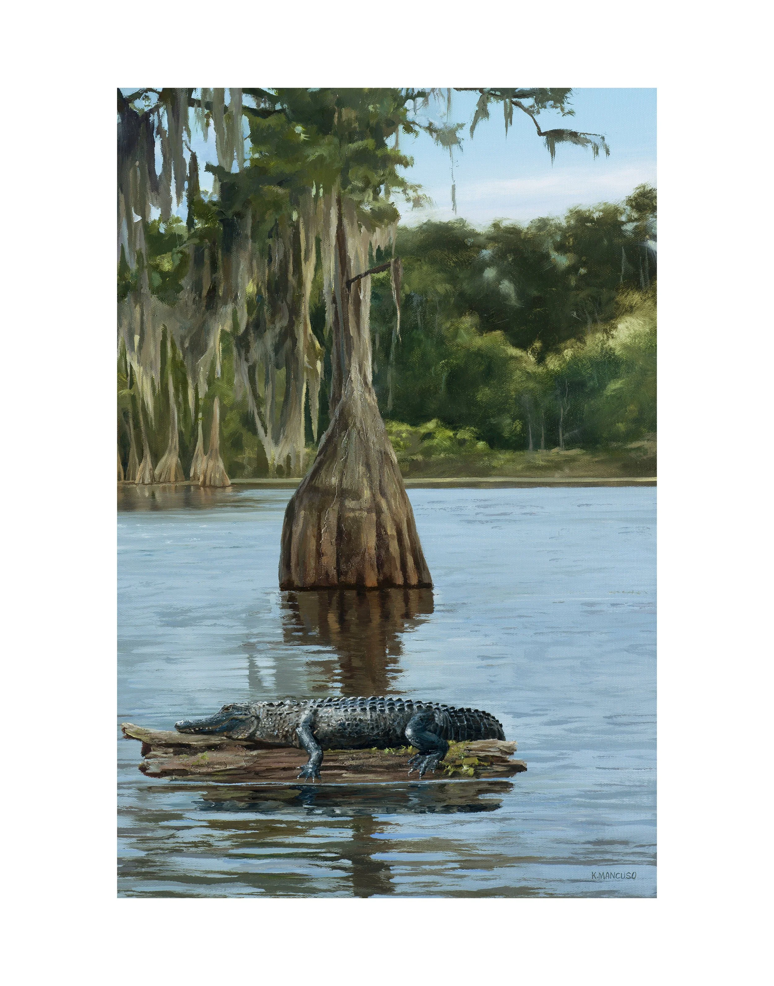 Bump on a log closeup 1.jpg