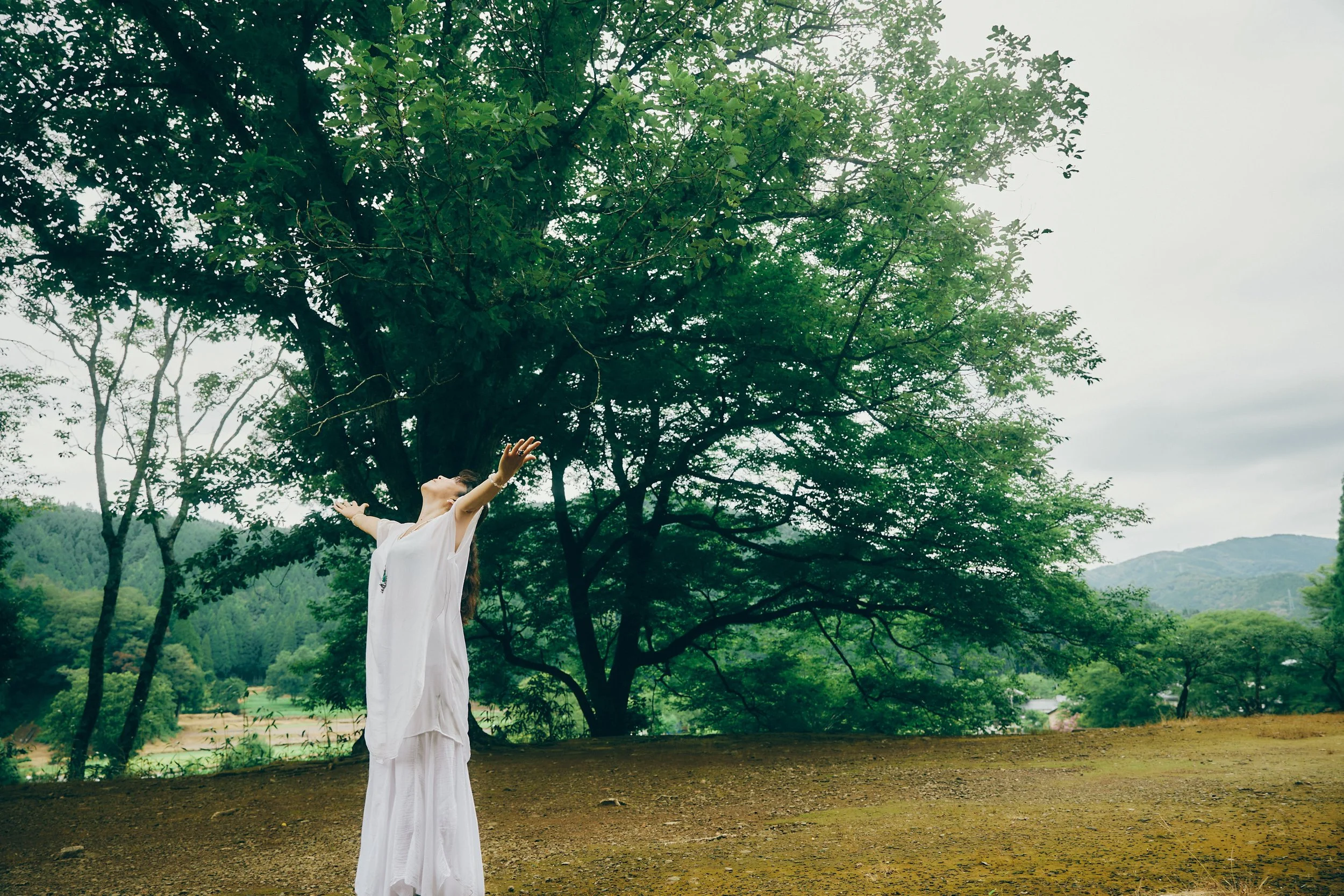 ‘Ascension Transition’ Support Programme