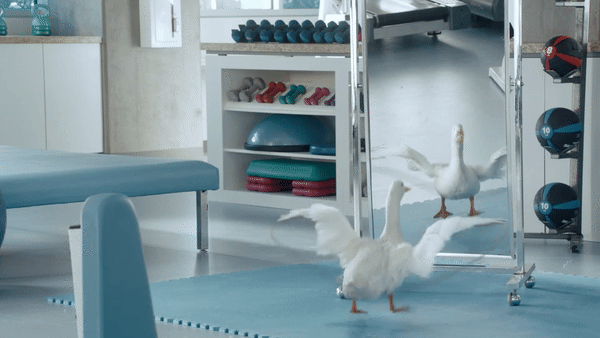 ezgif.com-gif-maker (12).gif