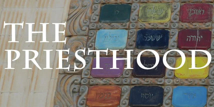 The Priesthood - eBook