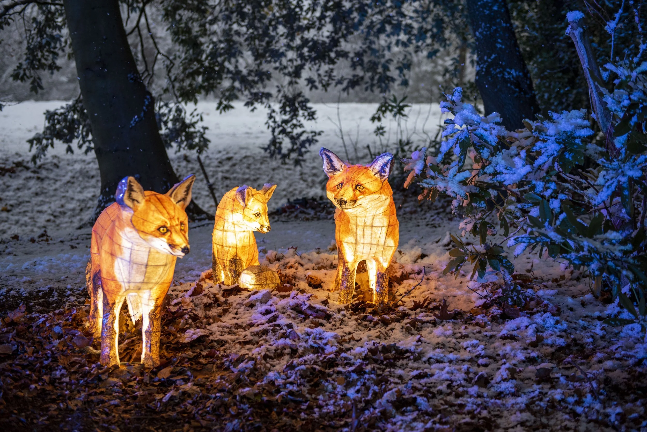 The Experience — Christmas at Wollaton