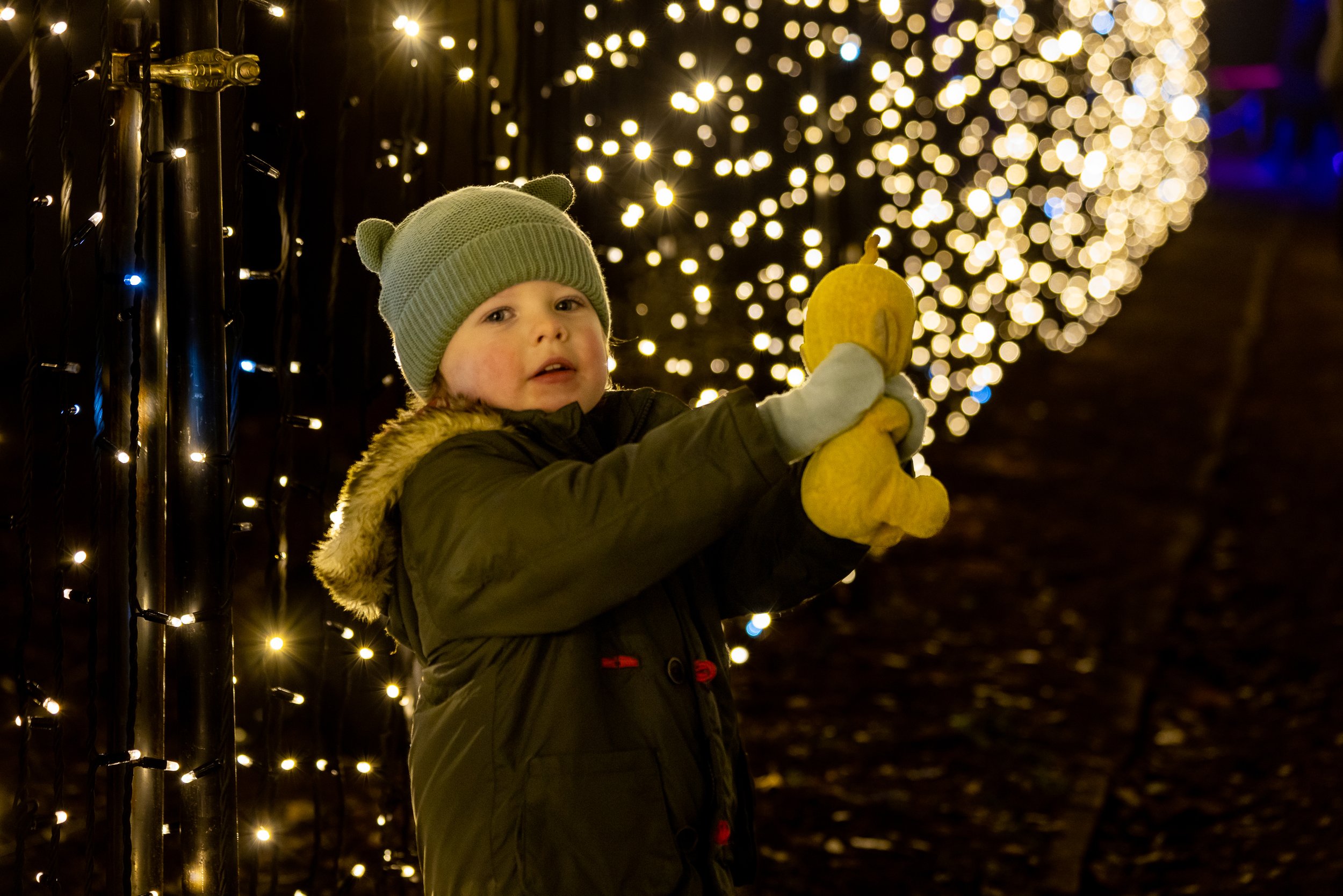 Gallery — Christmas at Wollaton