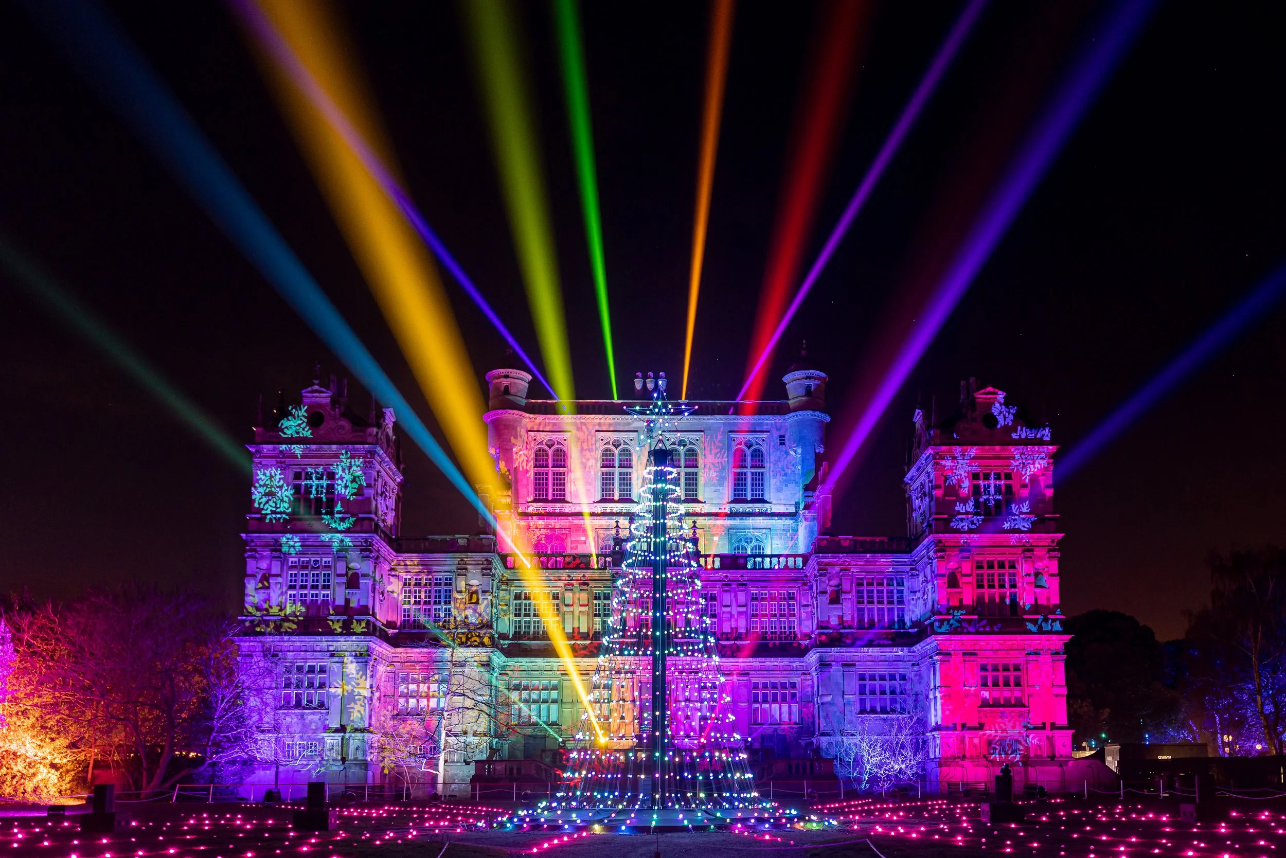Gallery — Christmas at Wollaton