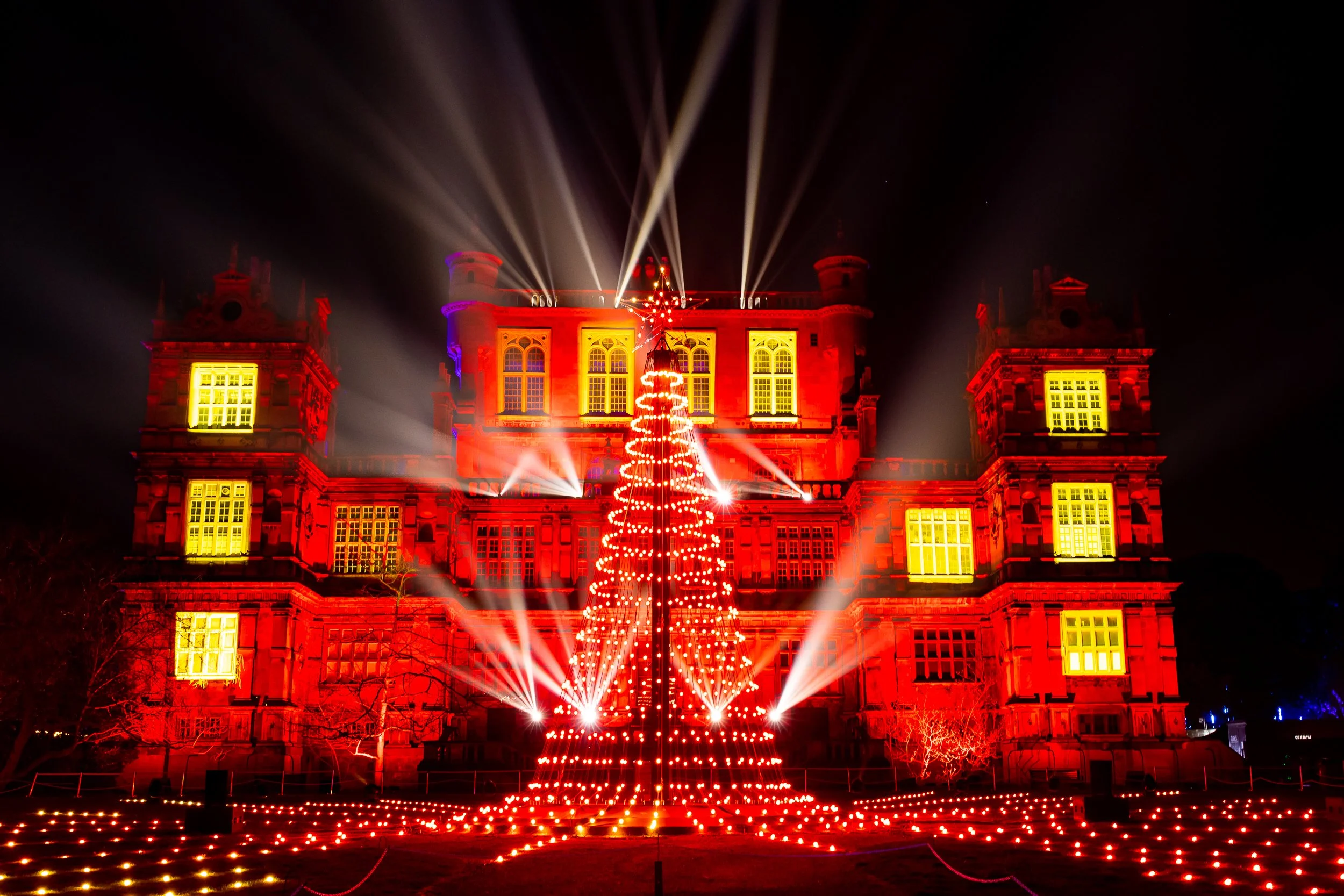 Gallery — Christmas at Wollaton