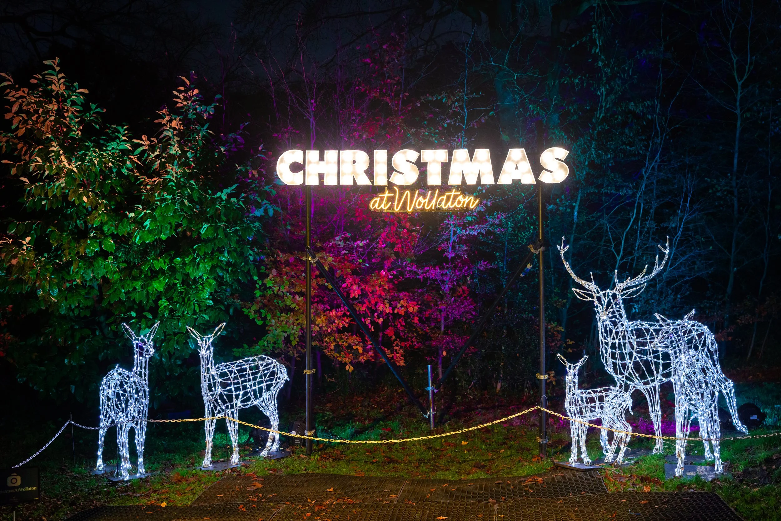 Gallery — Christmas at Wollaton