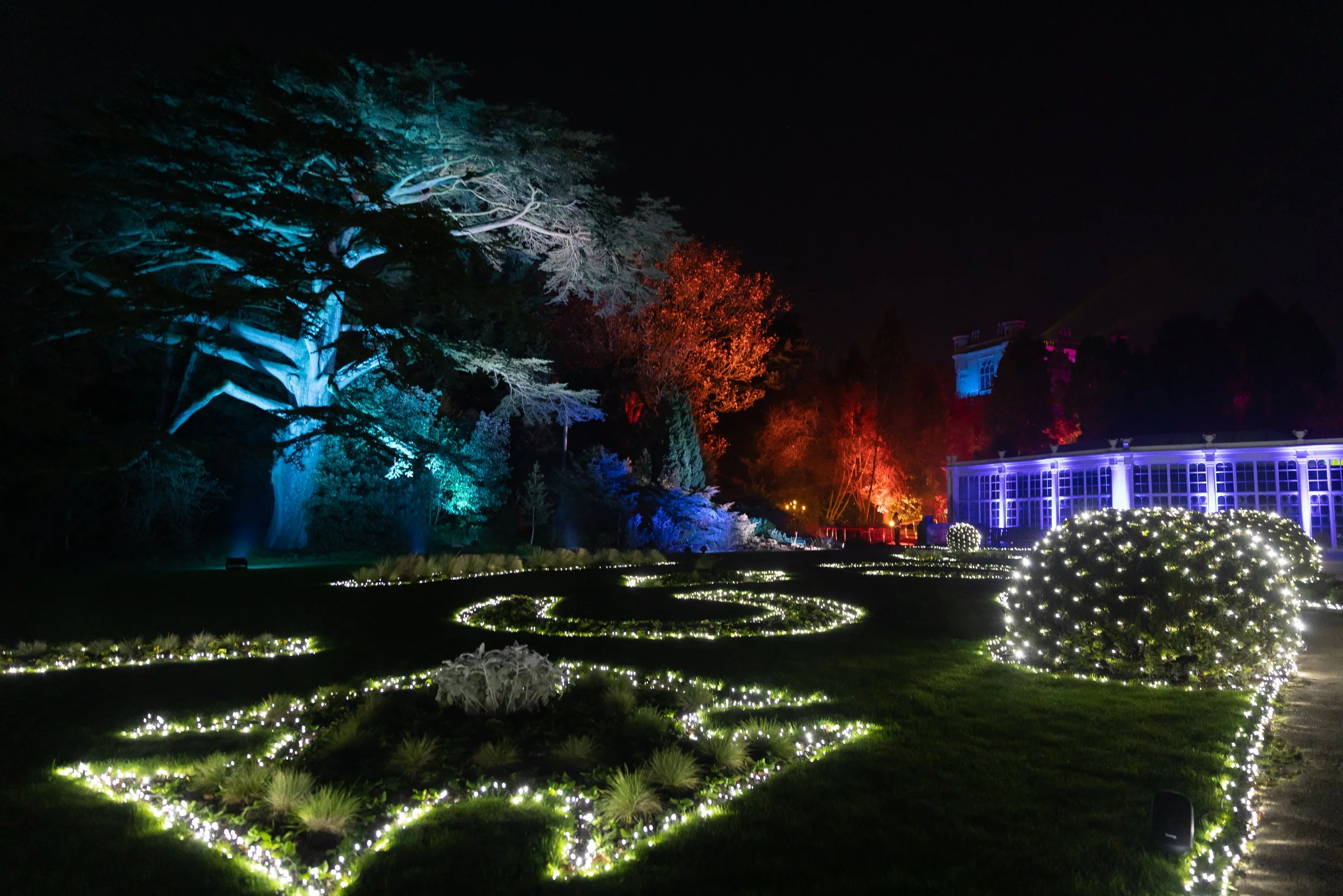 Gallery — Christmas at Wollaton