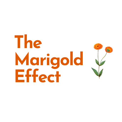 Marigold Effect Logo transparent vShare.png
