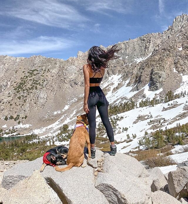 It&rsquo;s #NationalGetOutdoorsDay 🌻 Our last camping adventure was one for the books. This photo spot was mid hike and down in the corner by that lake is where we camped! ⛺️🐾