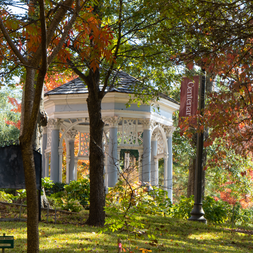 Kudos - Fall 2021
